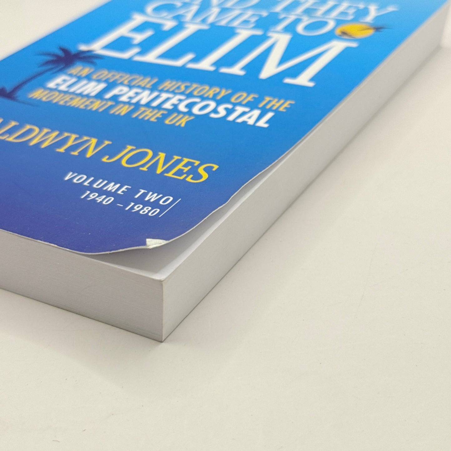 And They Came to Elim by Maldwyn Jones