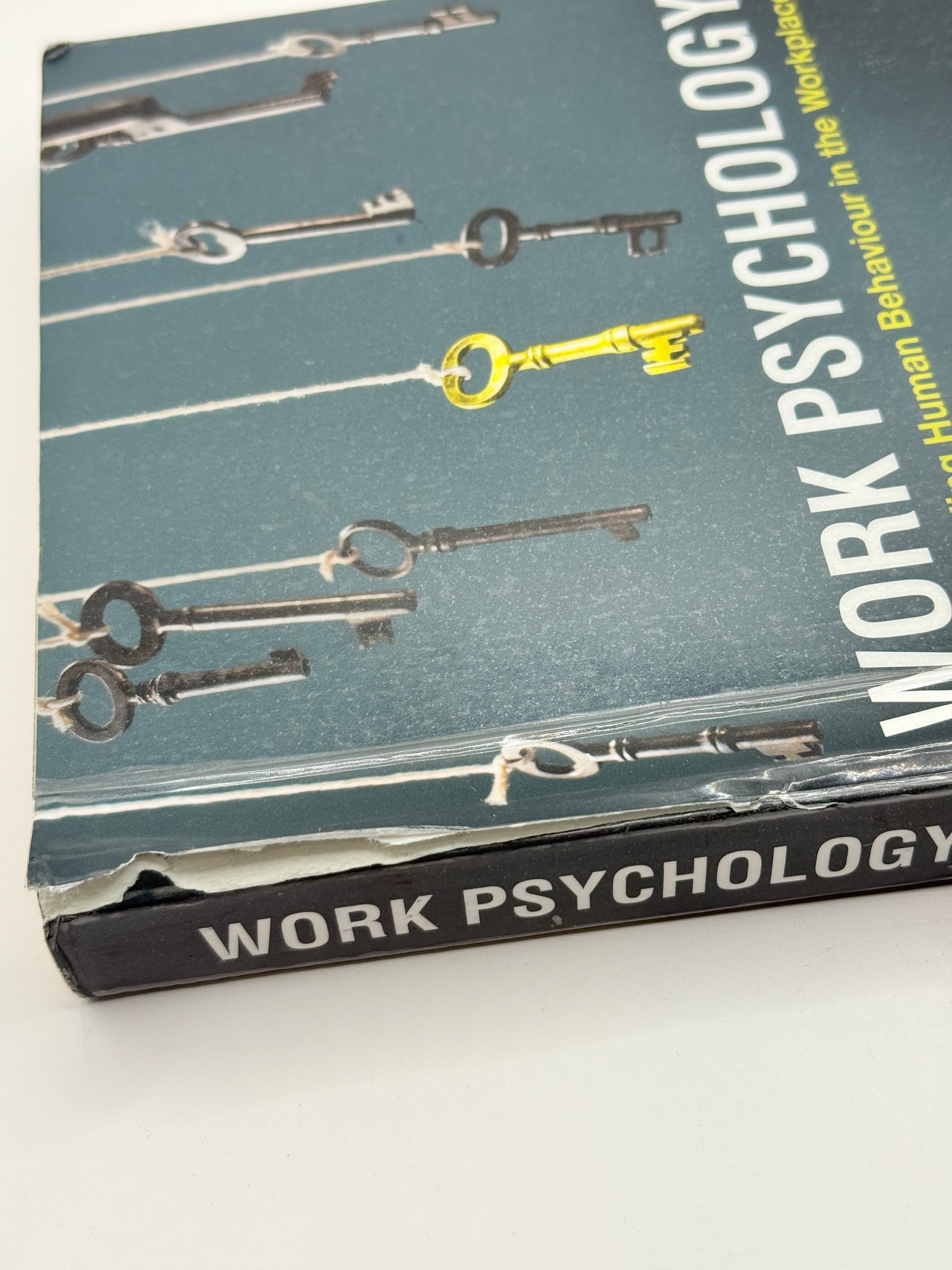 Work psychology: understanding human behaviour in the workplace (7th edition) by john arnold iain coyne ray randall