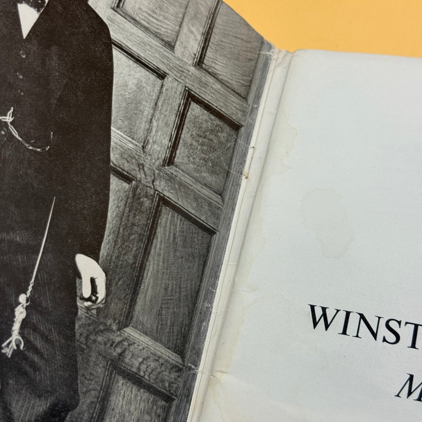 Vintage - Winston Churchill: Man of Destiny by H. Stafford Northcote