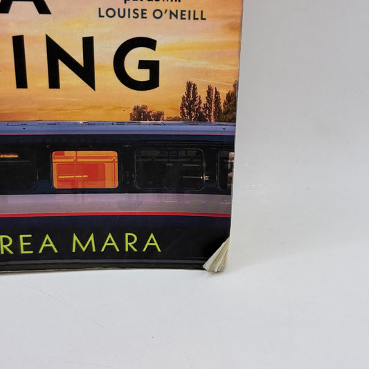 No One Saw a Thing by Andrea Mara