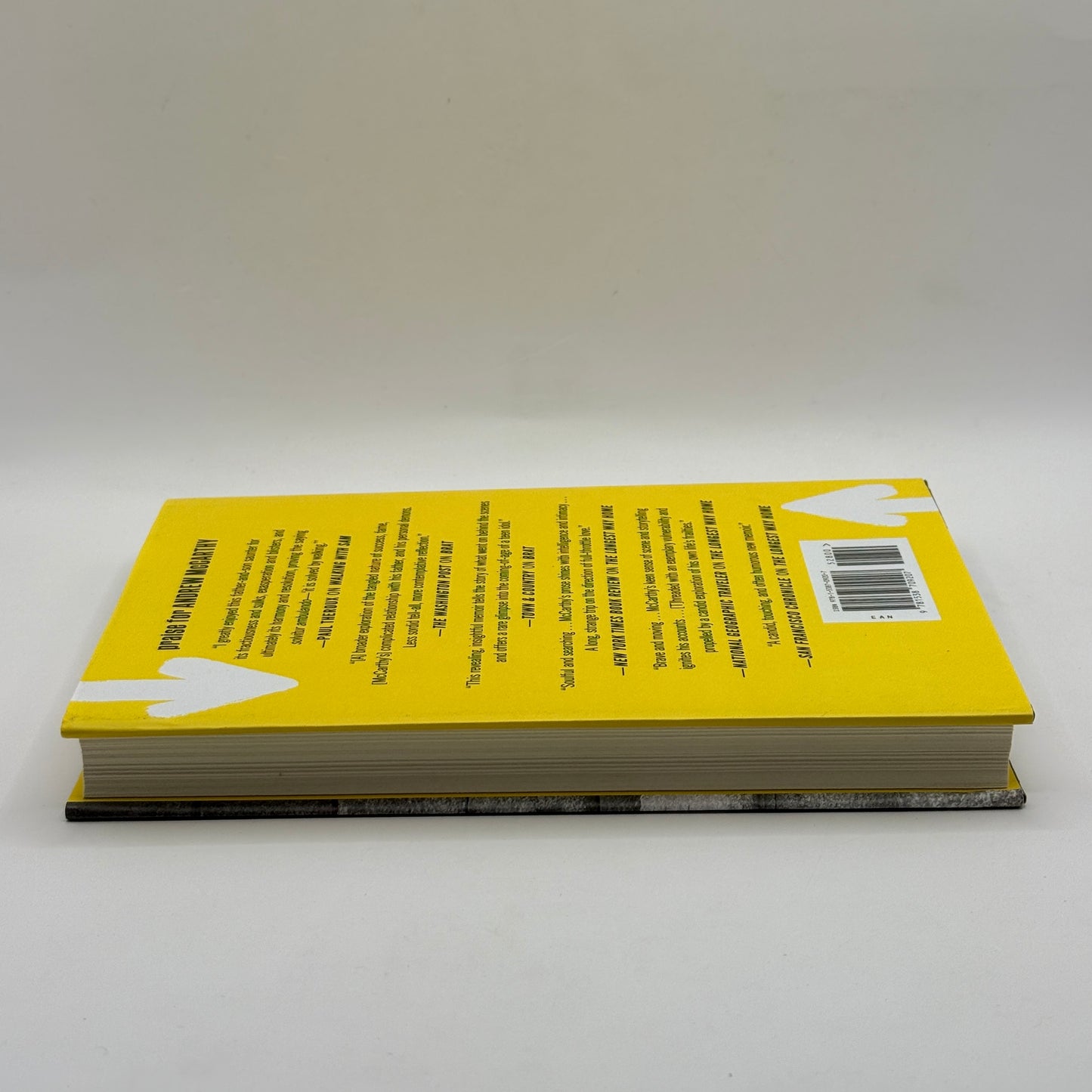 Walking with Sam by Andrew McCarthy