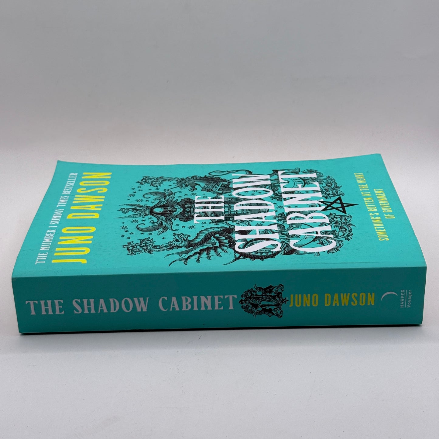 The Shadow Cabinet by Juno Dawson