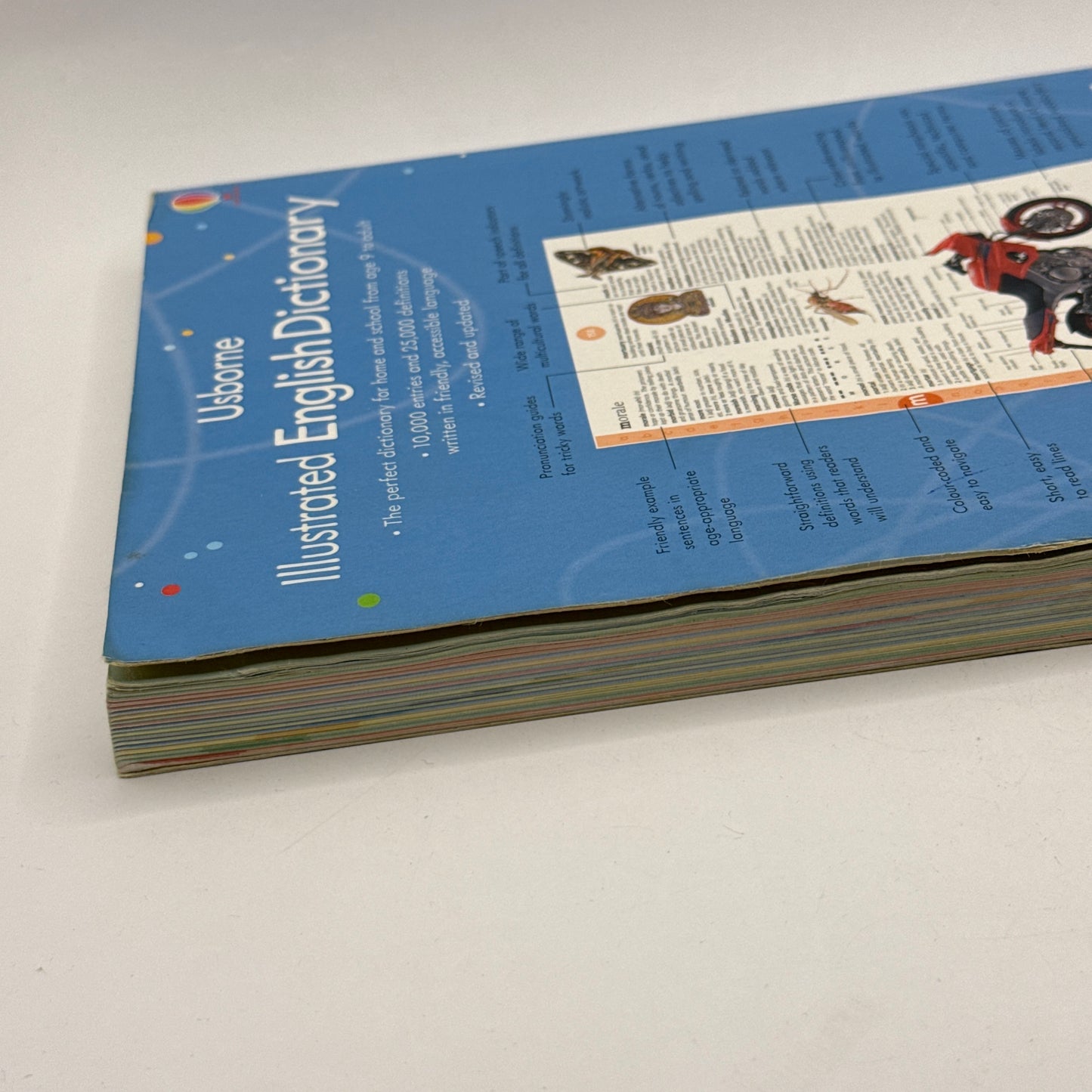 Usborne Illustrated English Dictionary