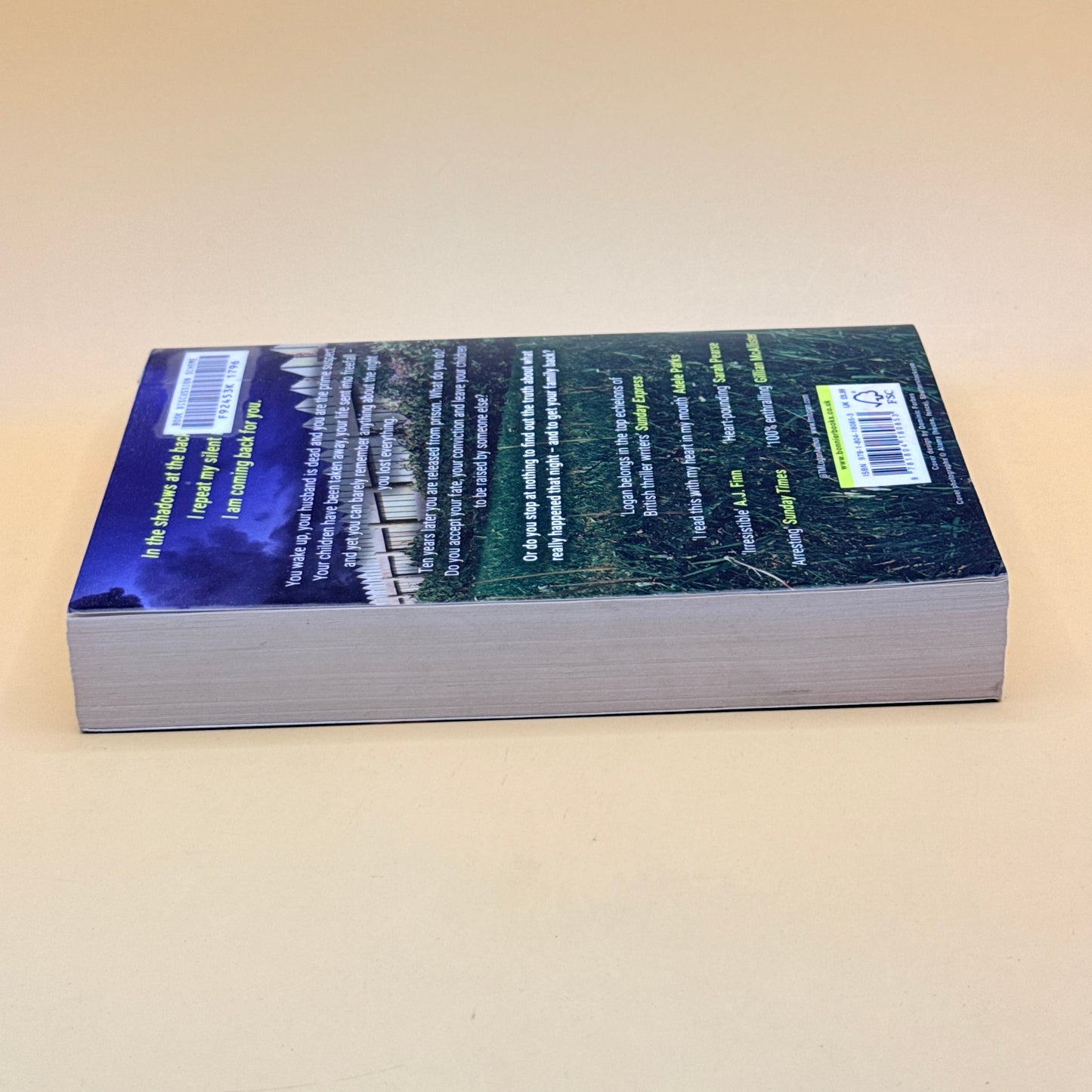 The Mother by T.M. Logan