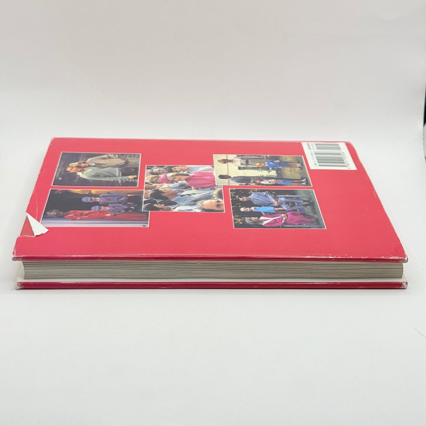 Charles and Diana: Portrait of a Marriage by Penny Junor