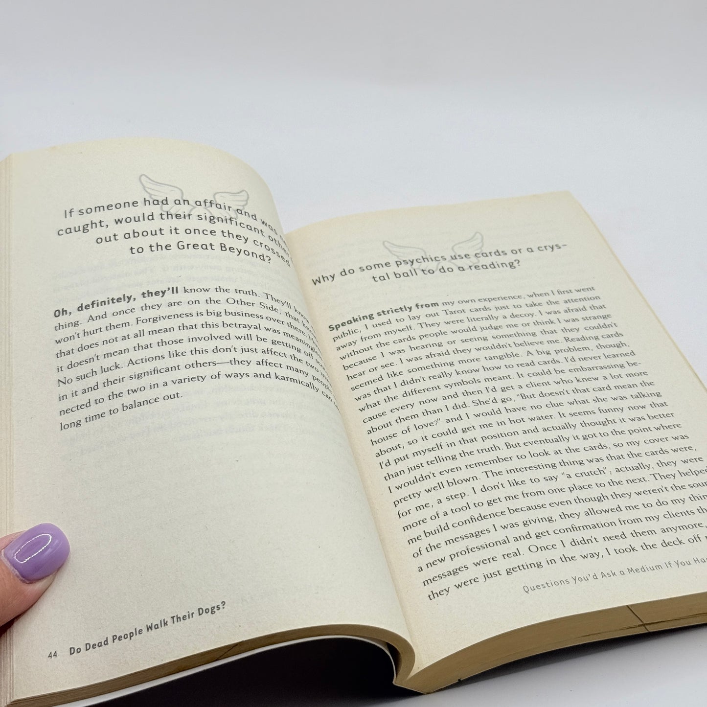 Do Dead People Walk Their Dogs? by Concetta Bertoldi