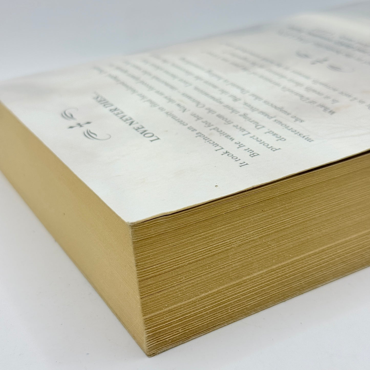 Torment by Lauren Kate