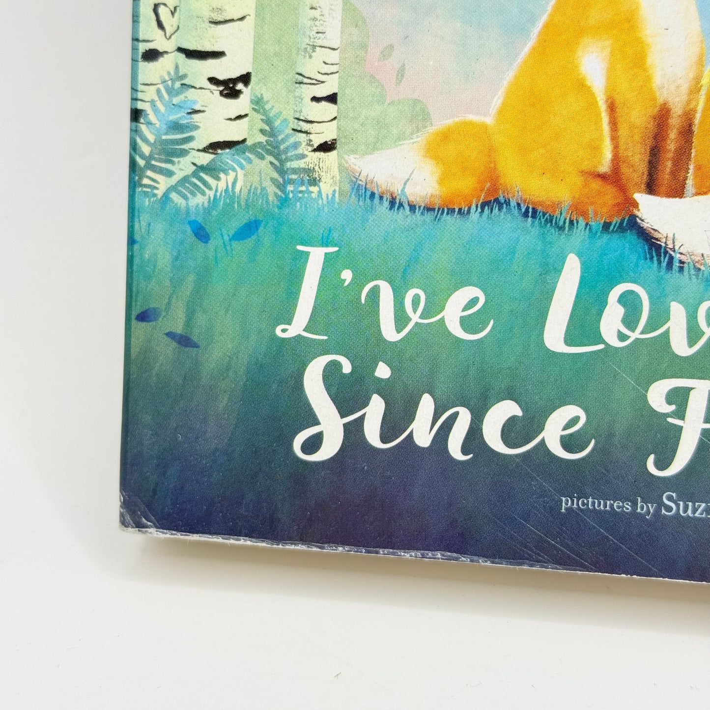 I've Loved You Since Forever by Hoda Kotb