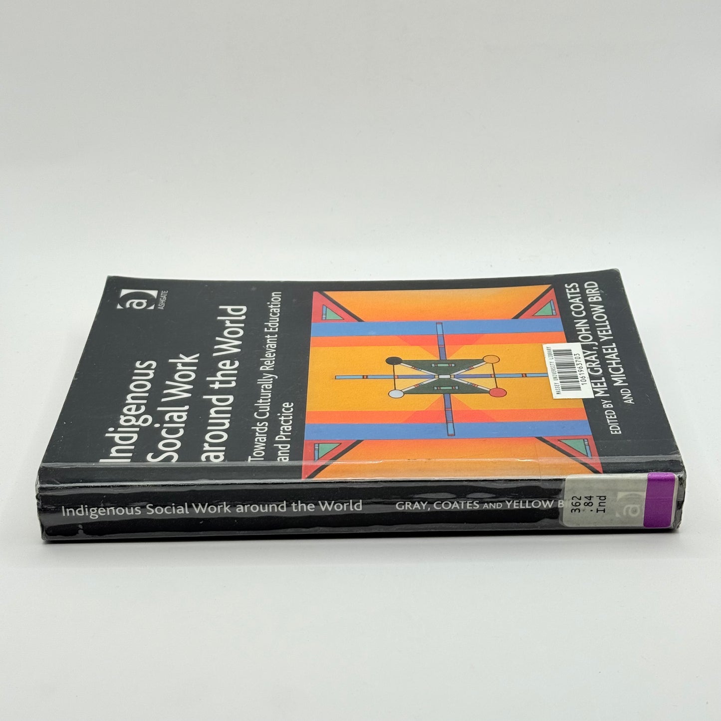 Indigenous Social Work around the World by Mel Gray, John Coates & Michael Yellow Bird