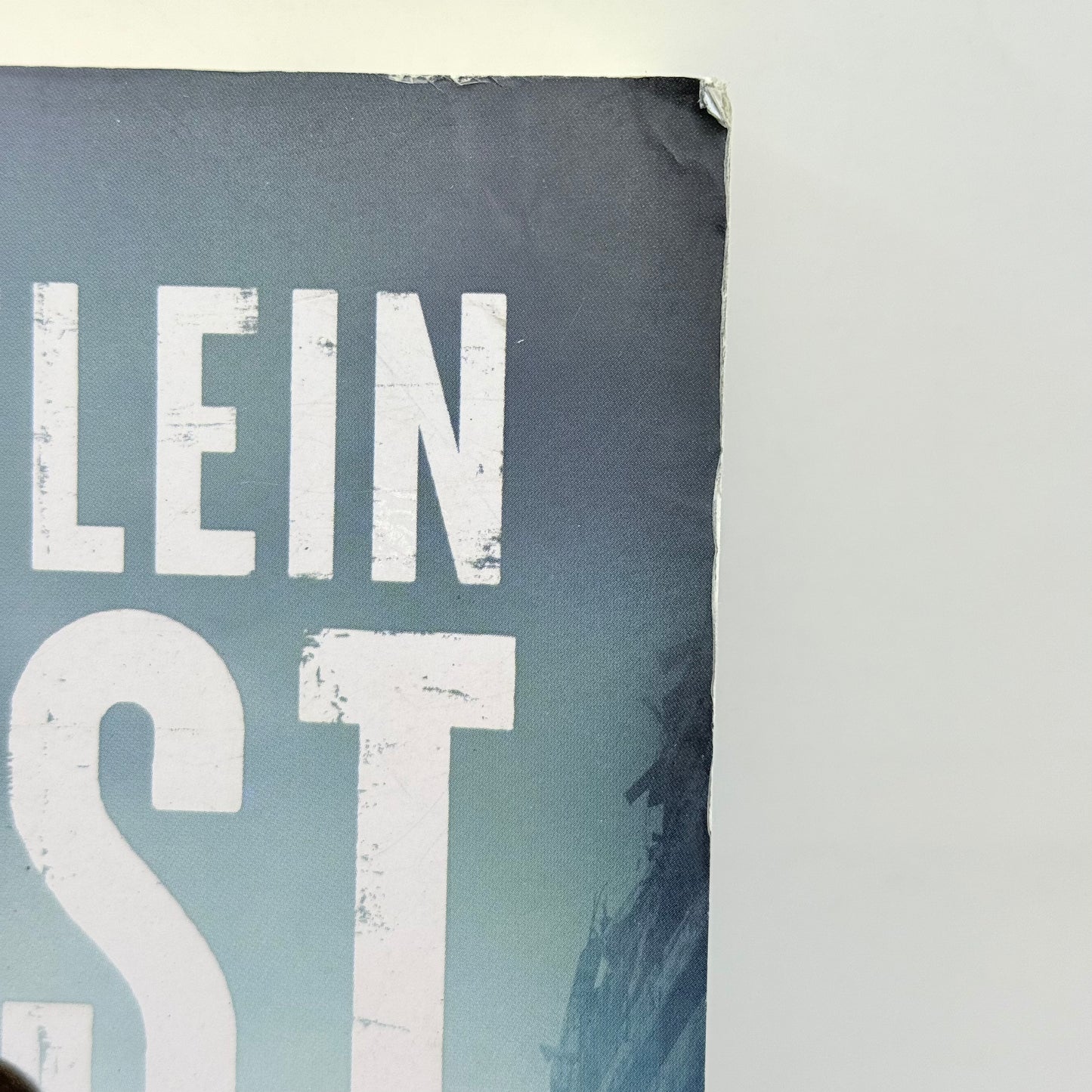 Moederland by Madelein Rust Afrikaans Edition