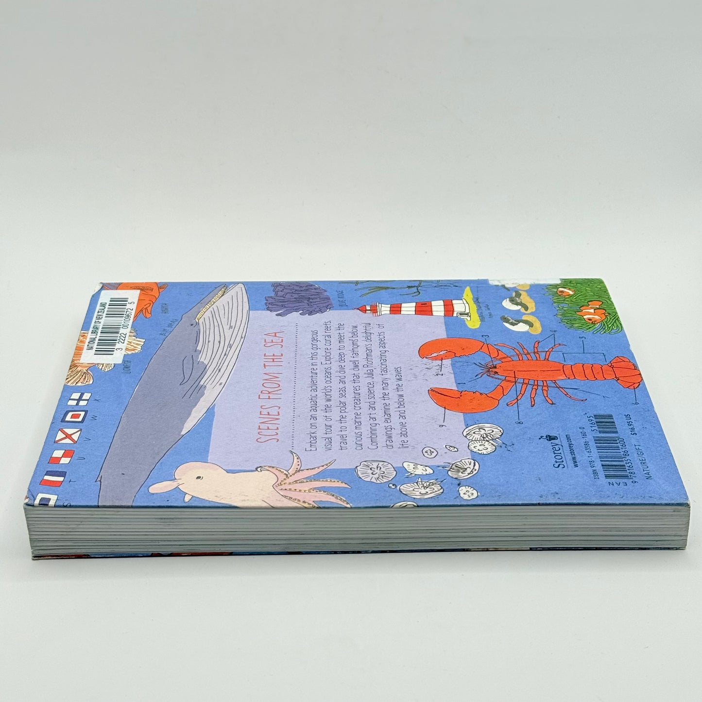 Ocean Anatomy by Julia Rothman