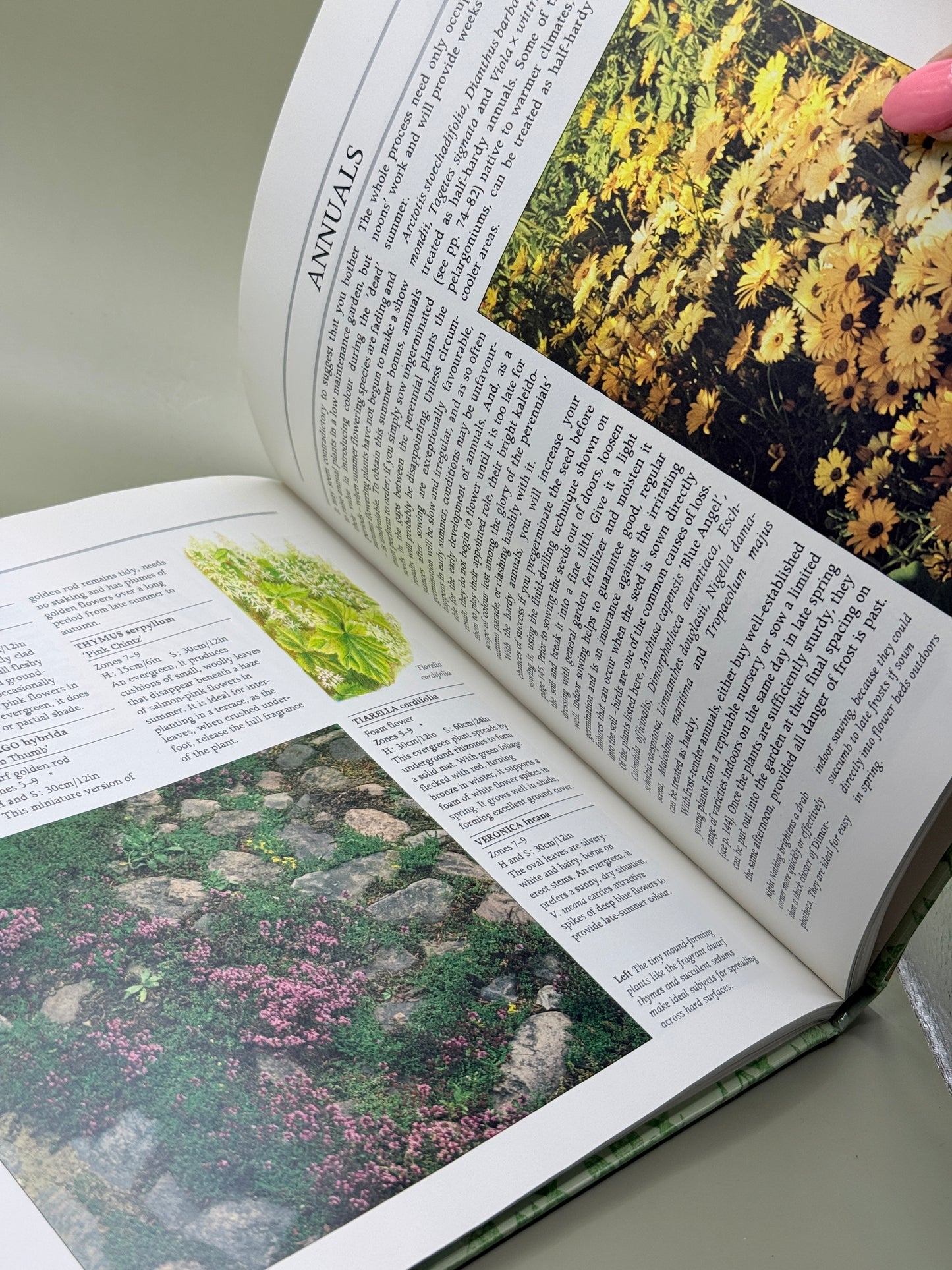 The Low Maintenance Garden (The Garden Bookshelf) by Graham Rose