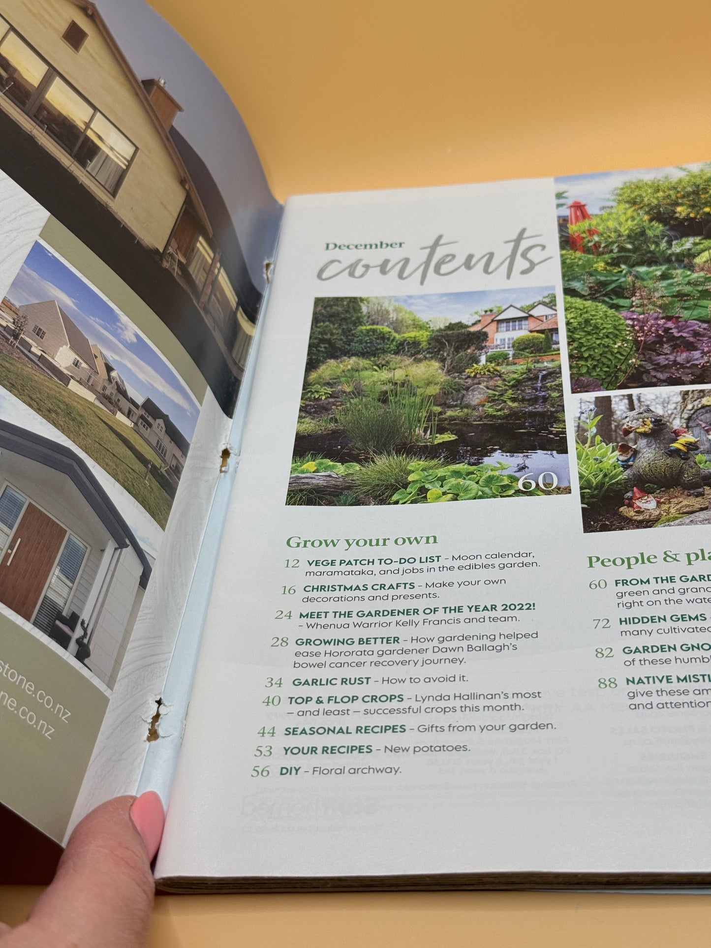 New Zealand Gardener – December 2022