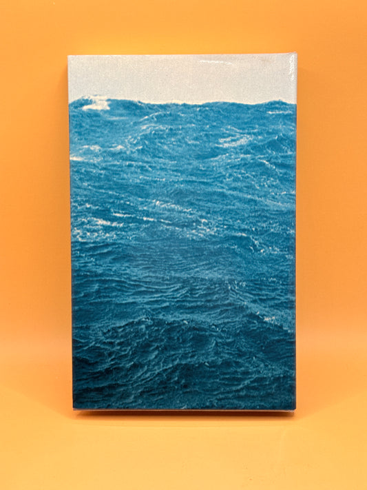 Survive the Savage Sea by Dougal Robertson (1973)