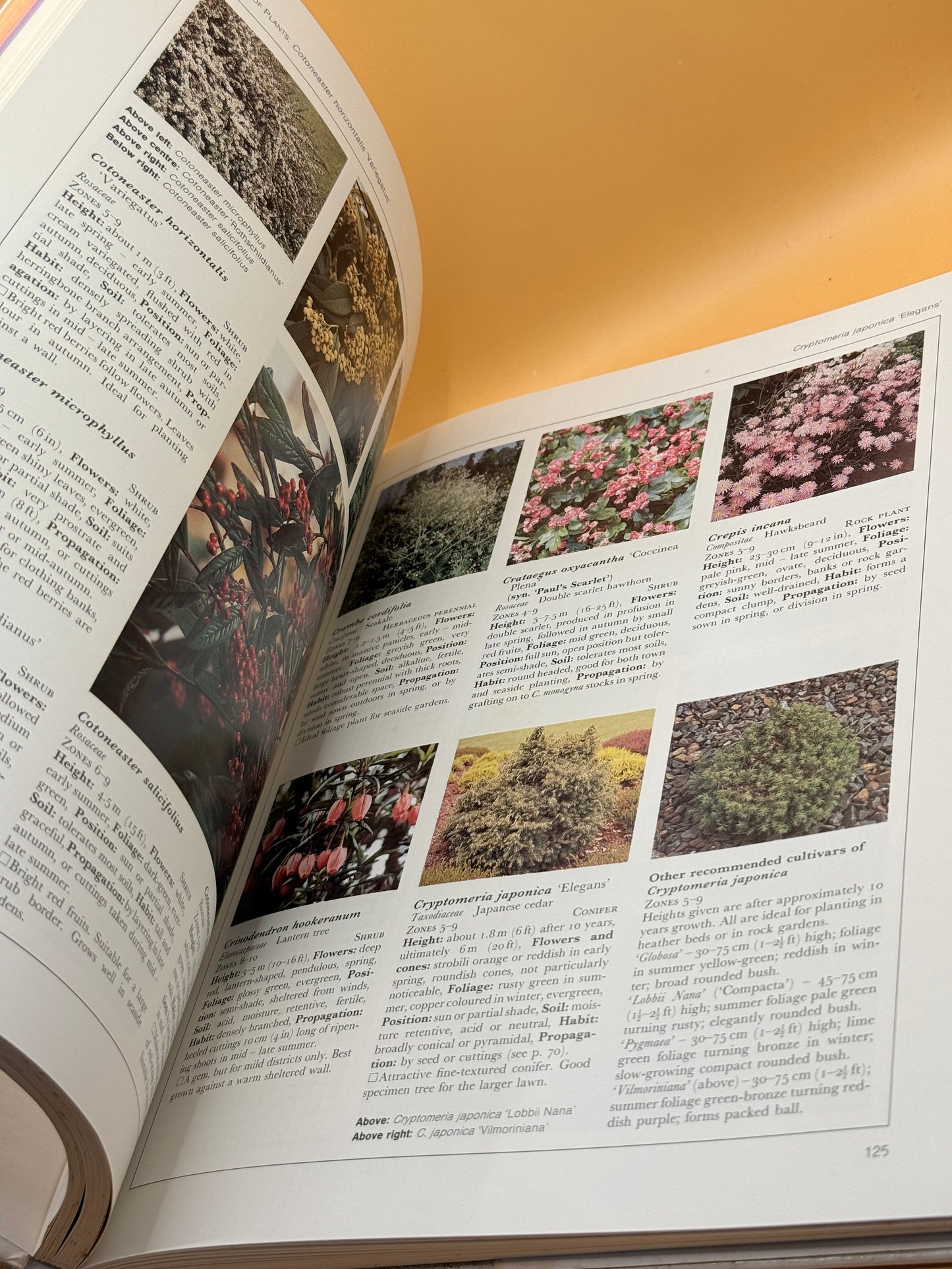 A Gardener's Guide to Plant Selection by Hugh Williams