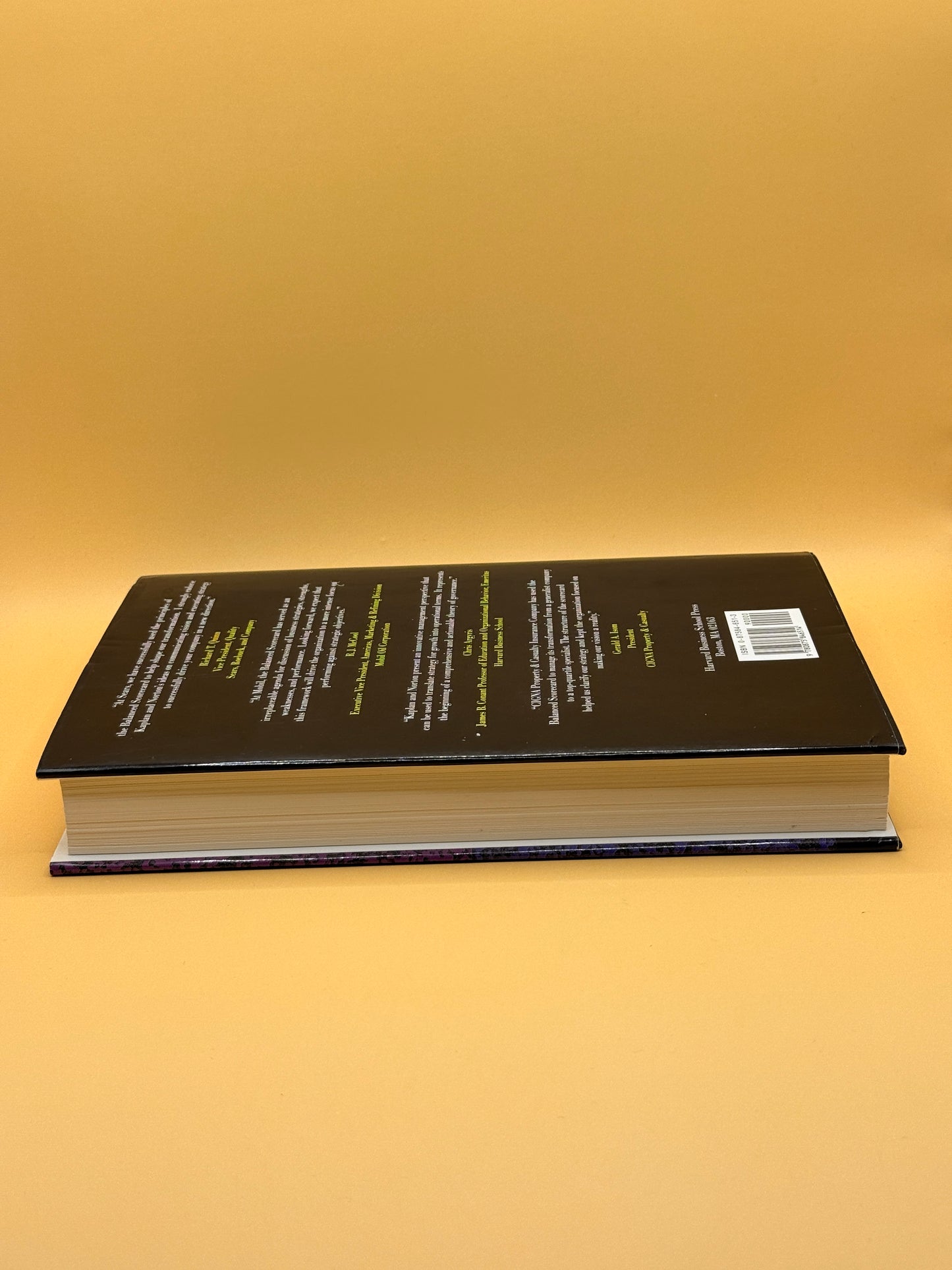 The Balanced Scorecard: Translating Strategy into Action by Robert S. Kaplan and David P. Norton