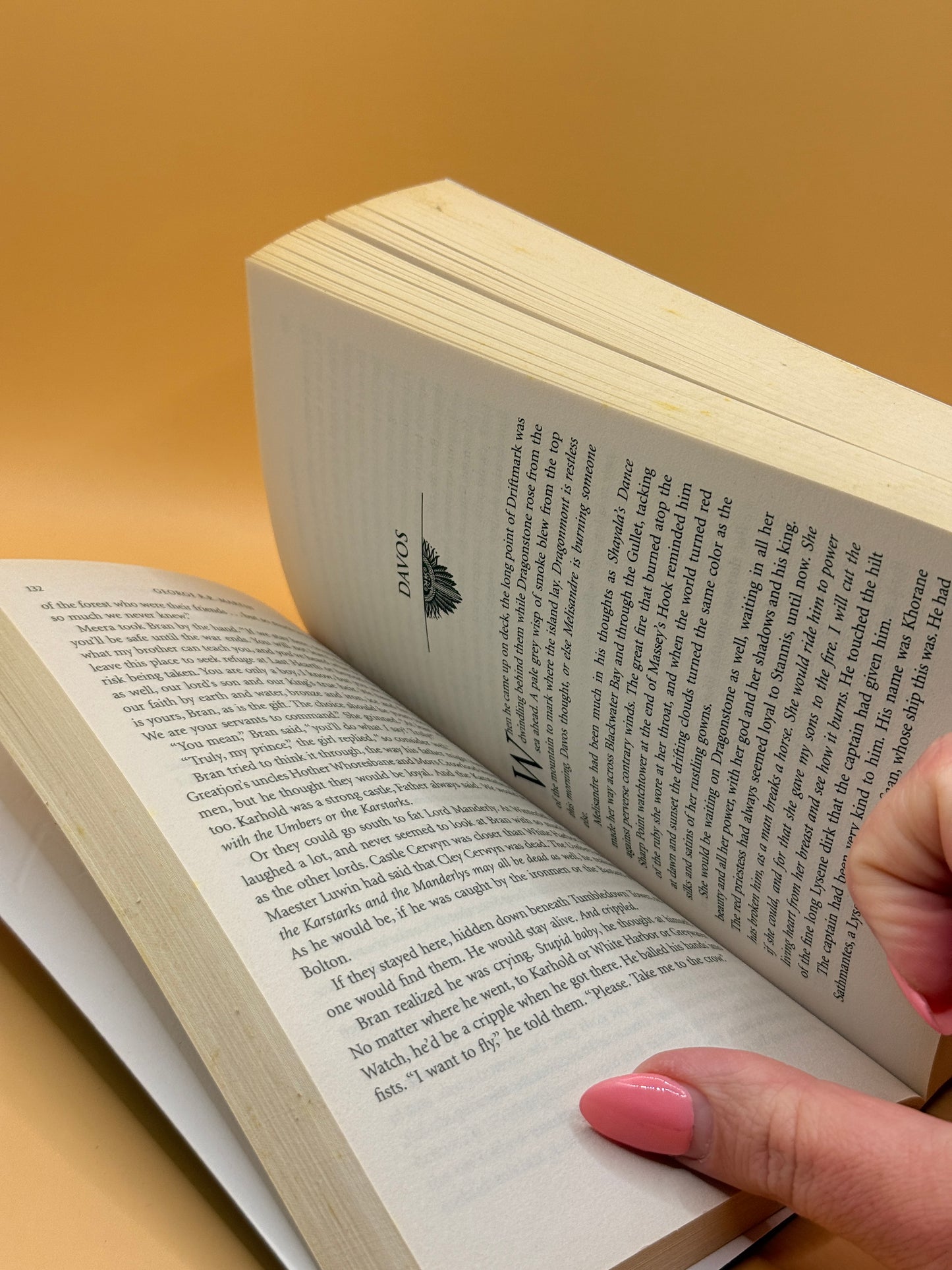 A Storm of Swords: Steel and Snow by George R. R. Martin