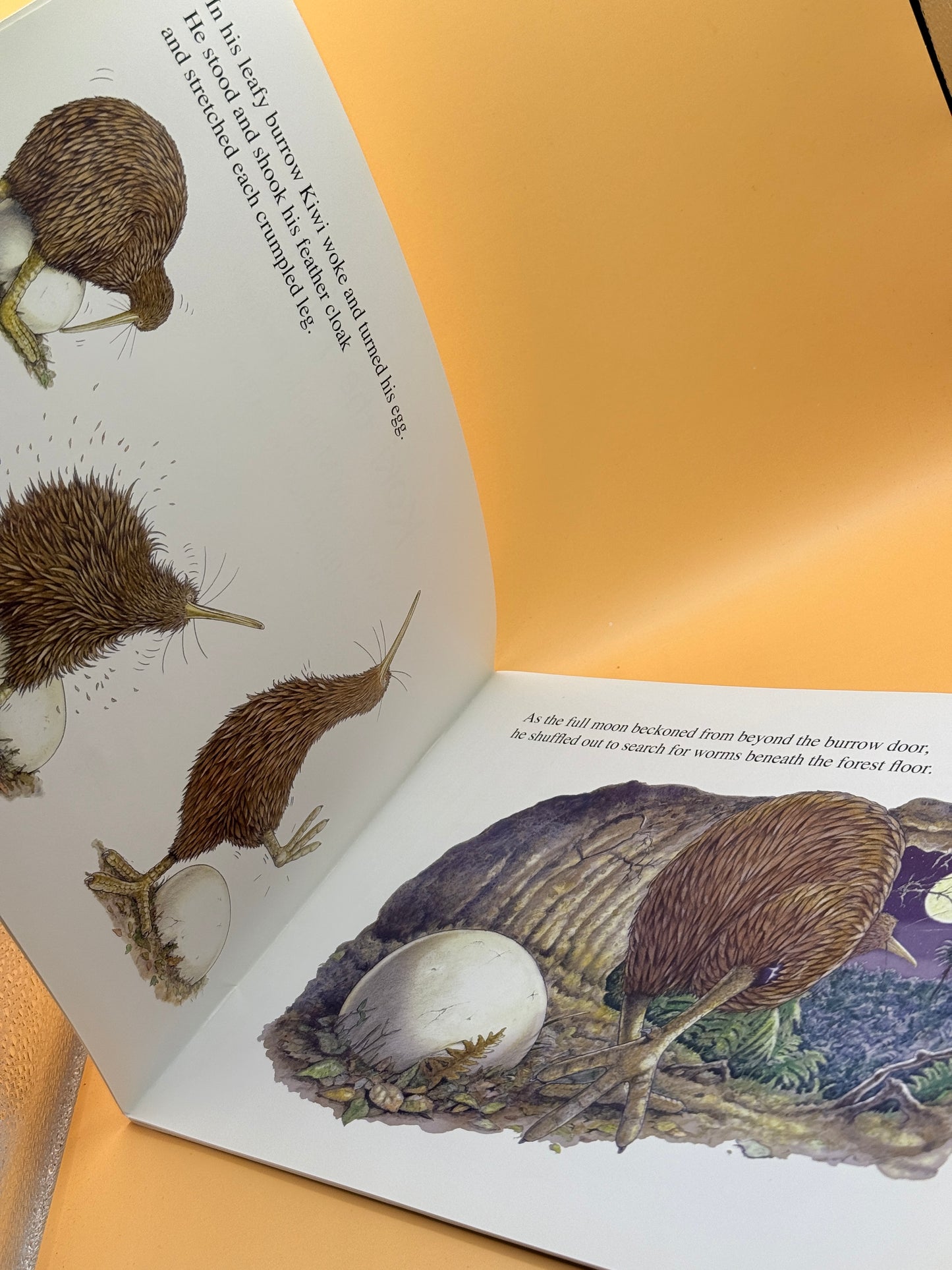 Koki the Kiwi by Michelle Osment