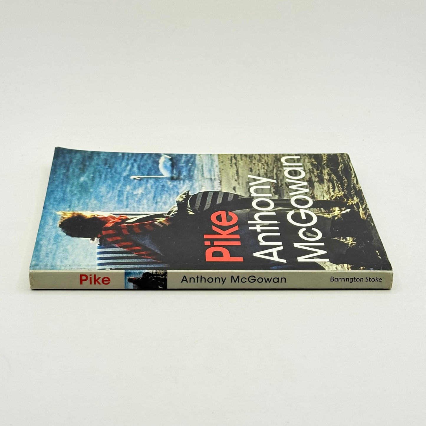 Pike by anthony mcgowan - print books condition: used - what’s new printed media