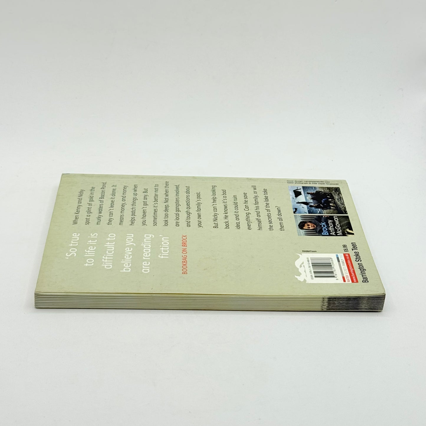 Pike by anthony mcgowan - print books condition: used - what’s new printed media