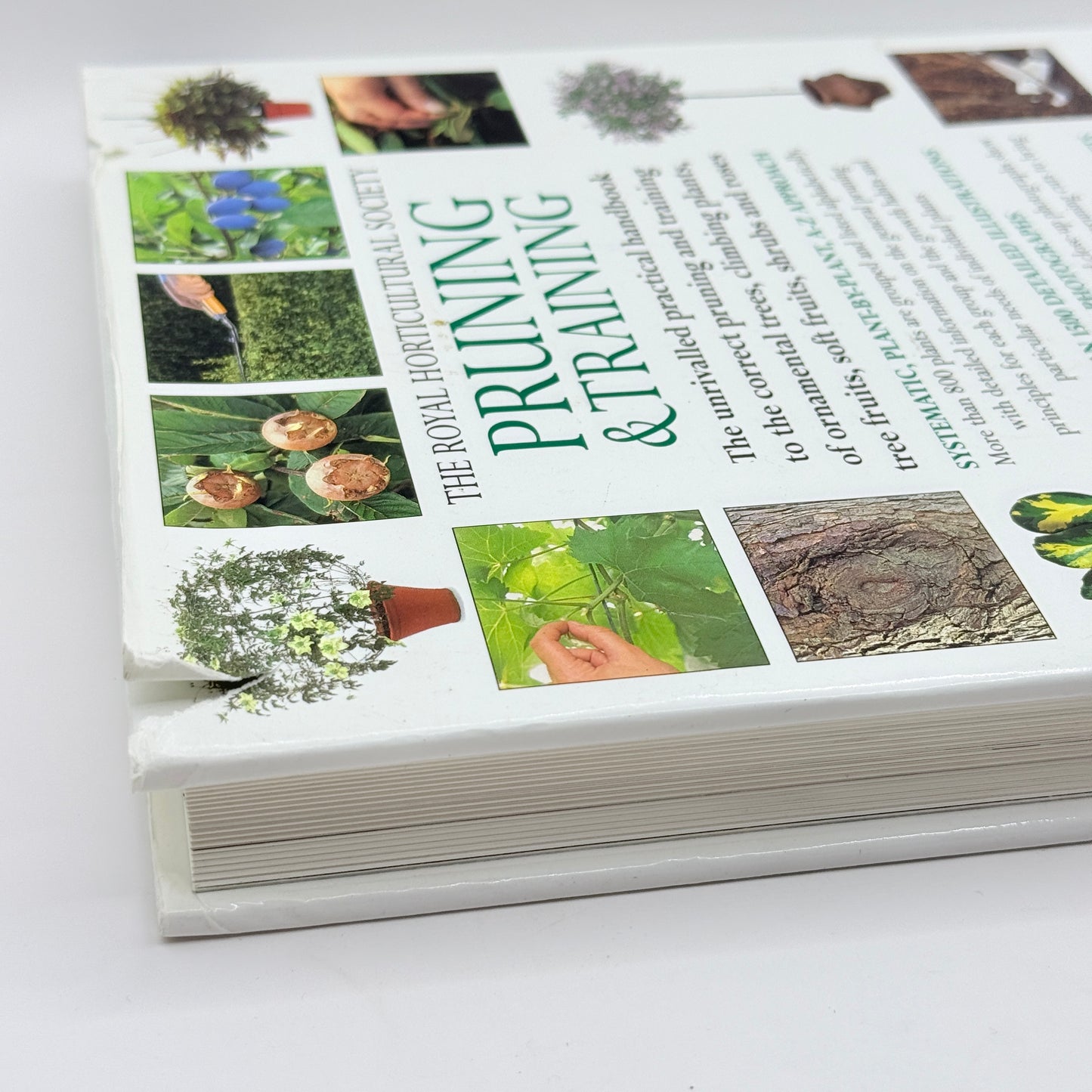 RHS Pruning and Training by Christopher Brickell & David Joyce