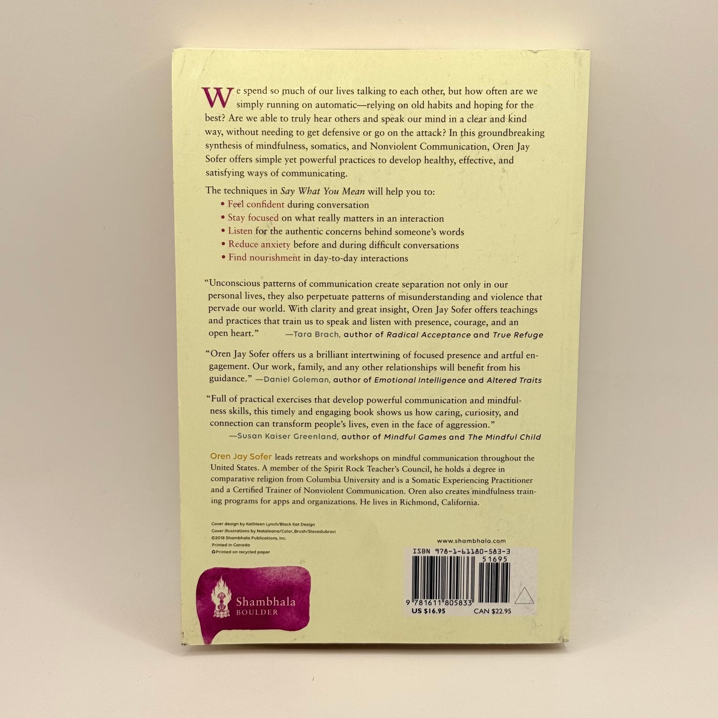 Say What You Mean by Oren Jay Sofer