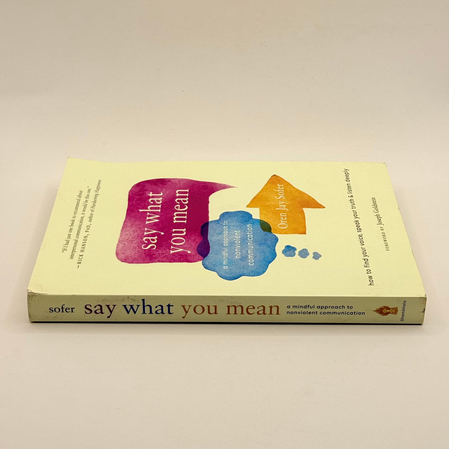 Say What You Mean by Oren Jay Sofer
