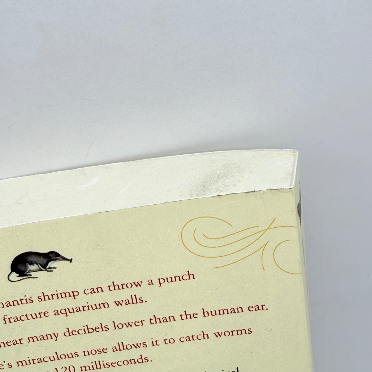 Sentient: What Animals Reveal About Our Senses by Jackie Higgins