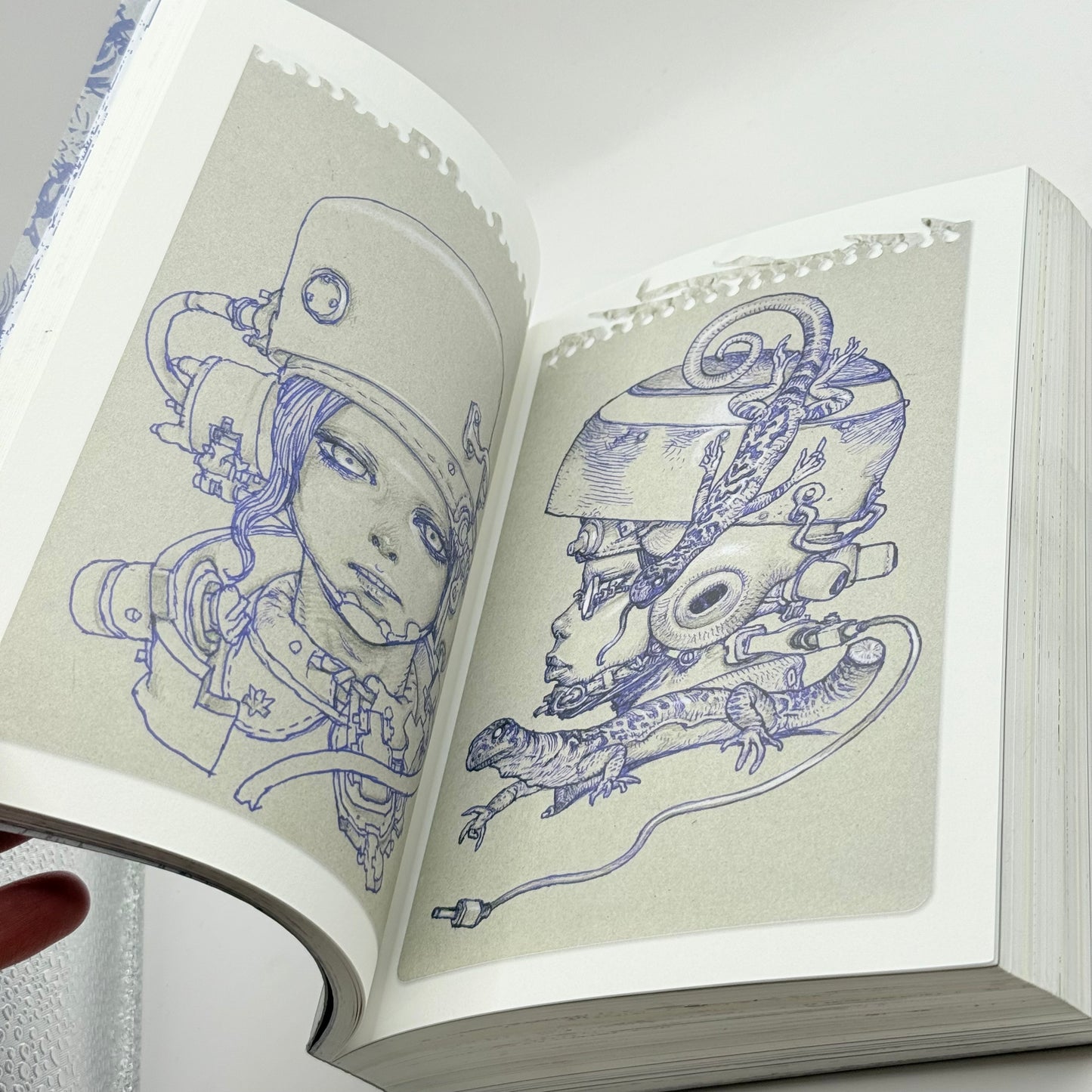 Sketch by Katsuya Terada