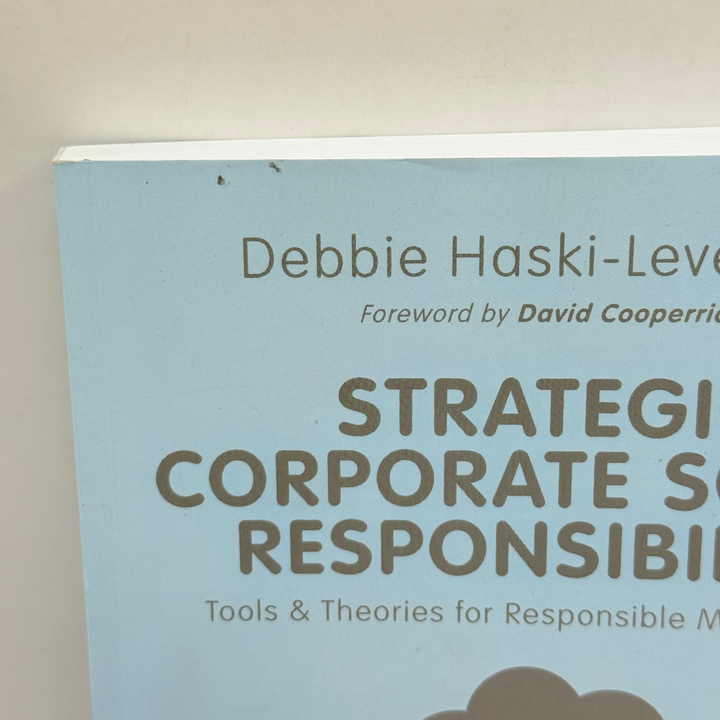 Strategic Corporate Social Responsibility by Debbie Haski-Leventhal