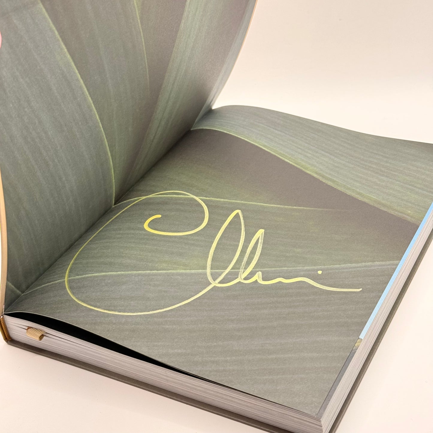TASTY Cookbook by Chelsea Winter (Signed)