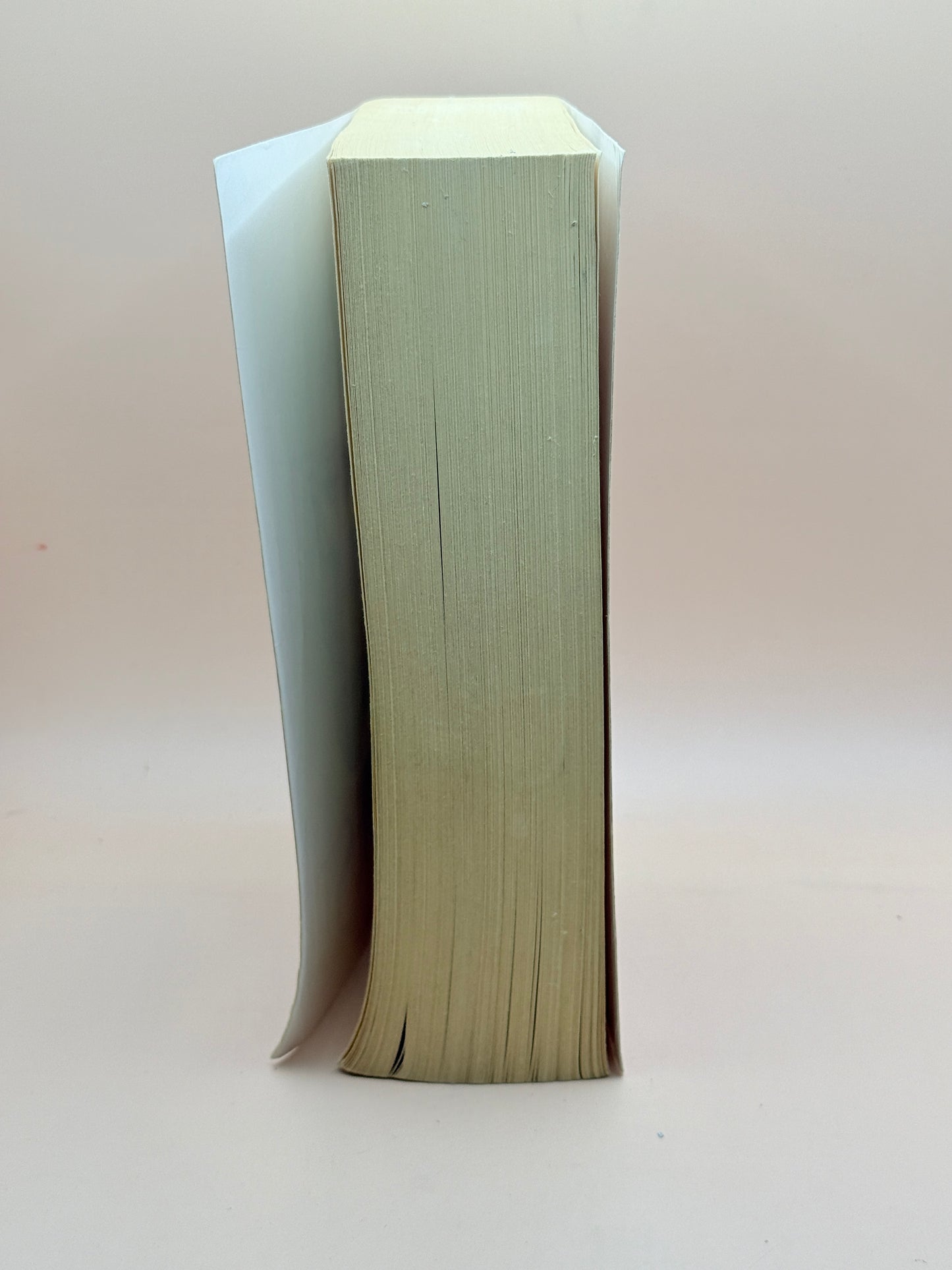 Eldest by Christopher Paolini