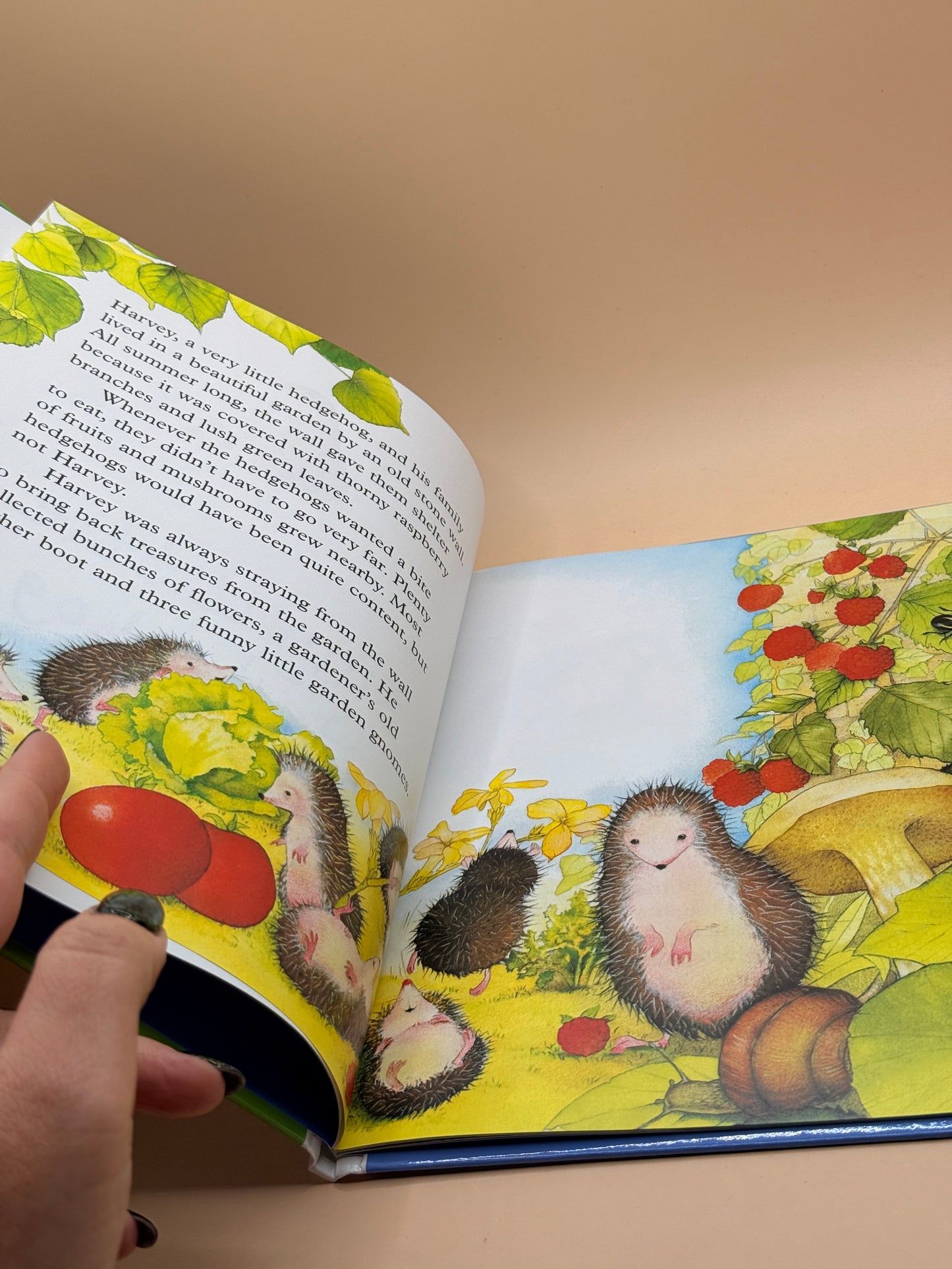 Silly Little Hedgehog by Readers Digest