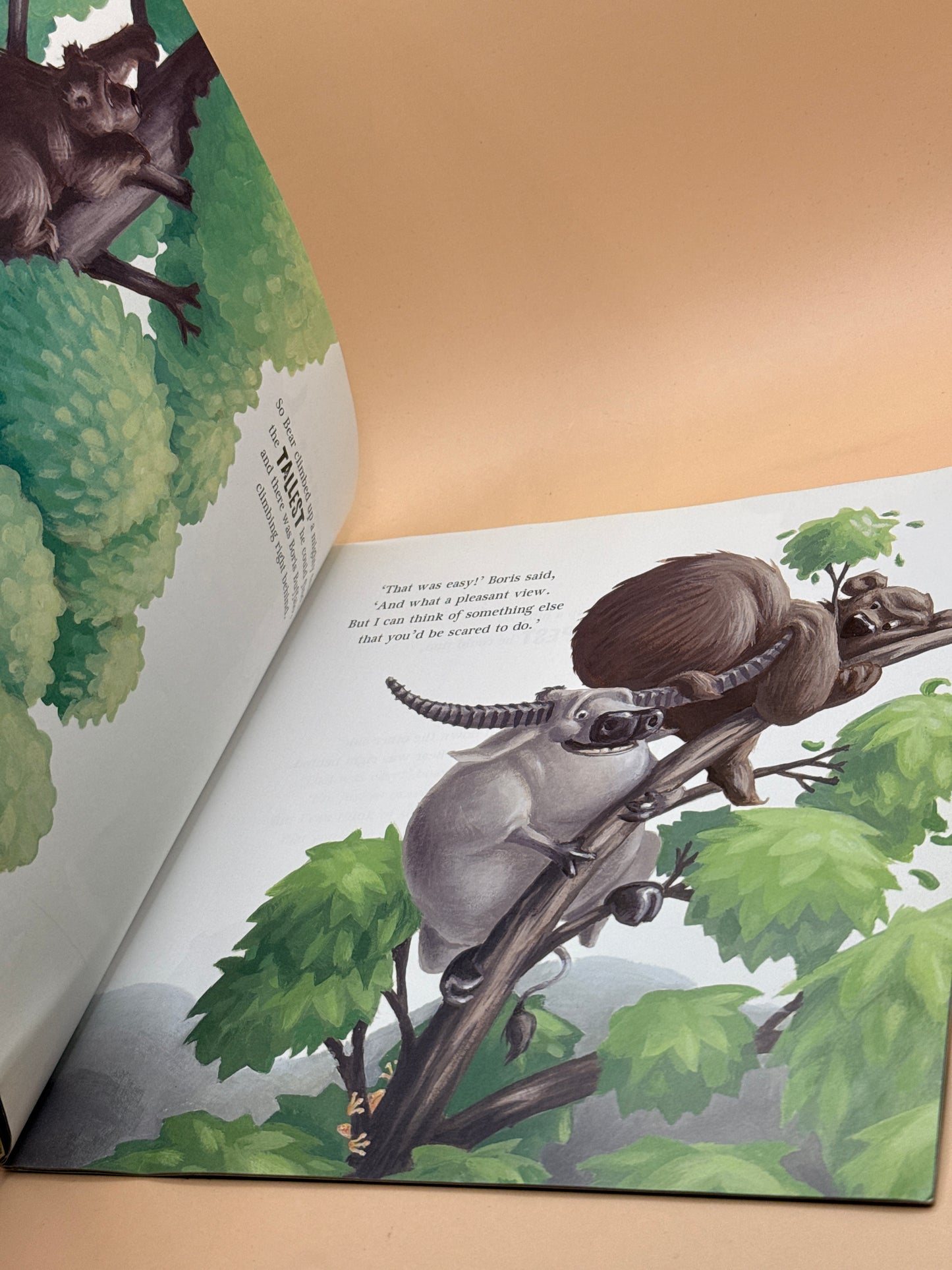 The Very Brave Bear by Nick Bland