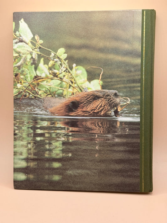 Reader’s Digest Intelligence in Animals