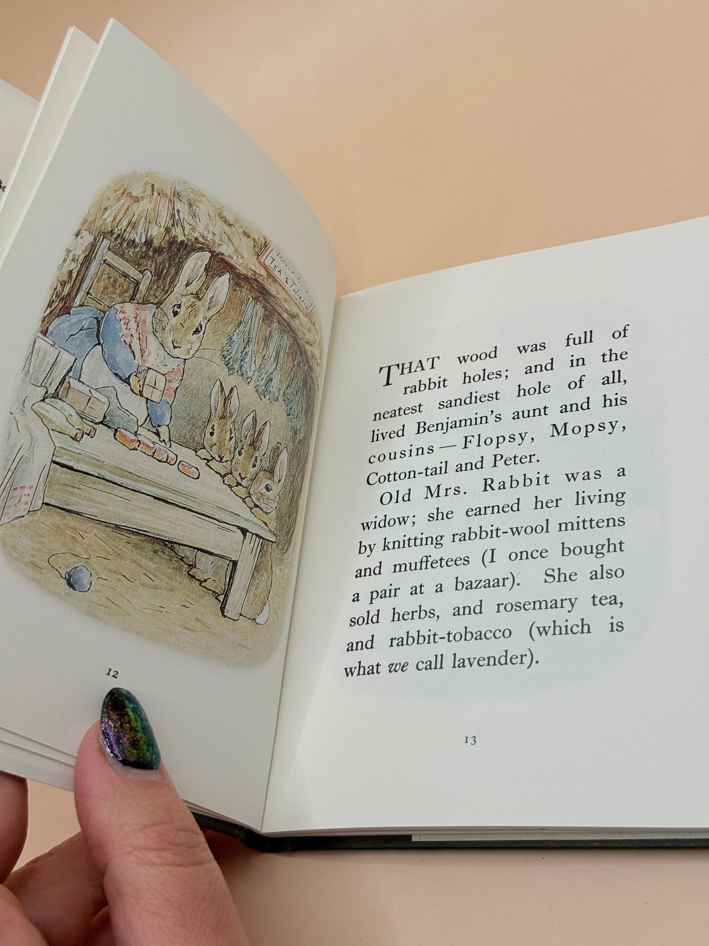 The Tale of Benjamin Bunny by Beatrix Potter 1987