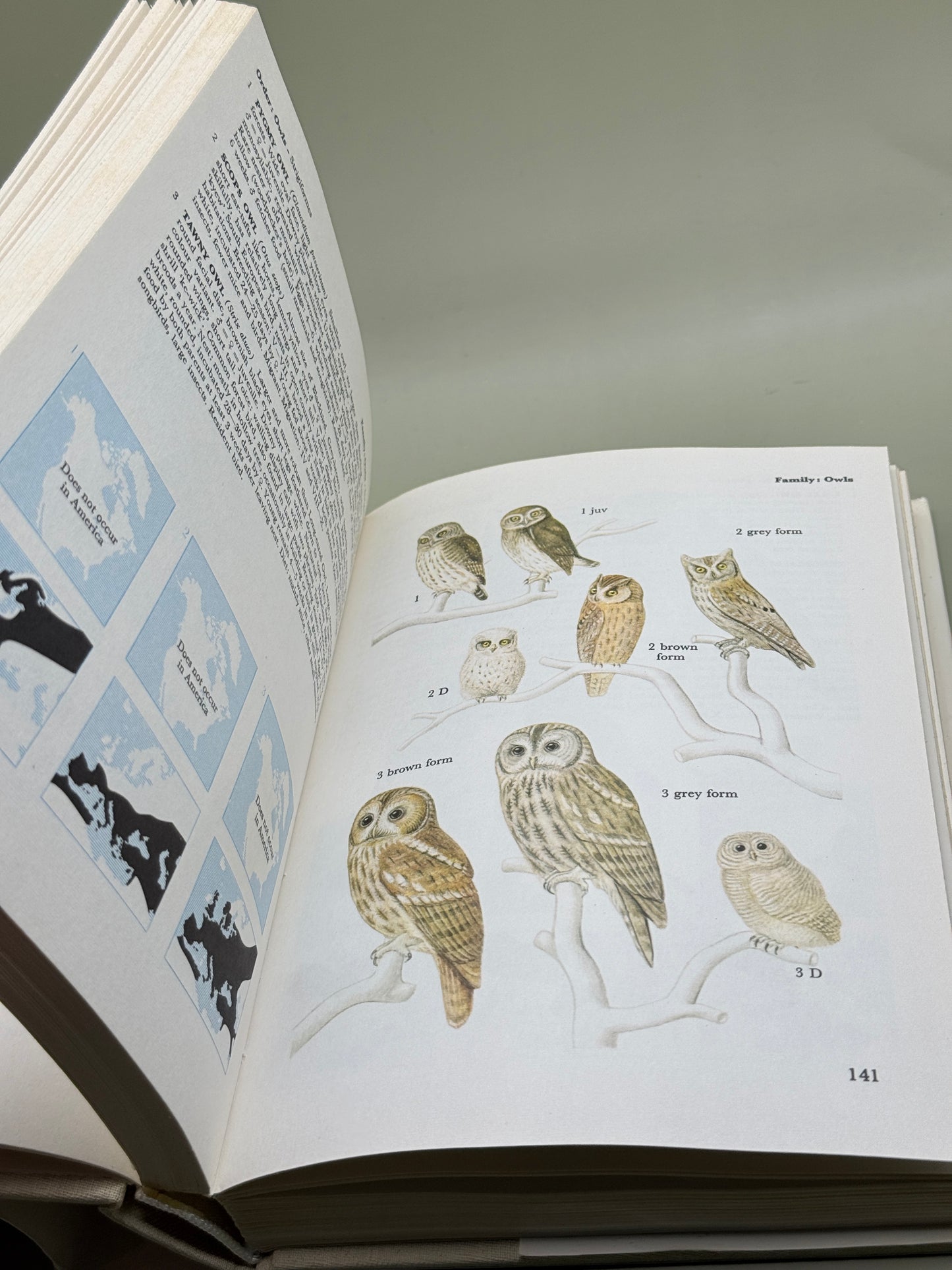 A Field Guide in Colour to Birds by Peter Hayman and Rob Hume