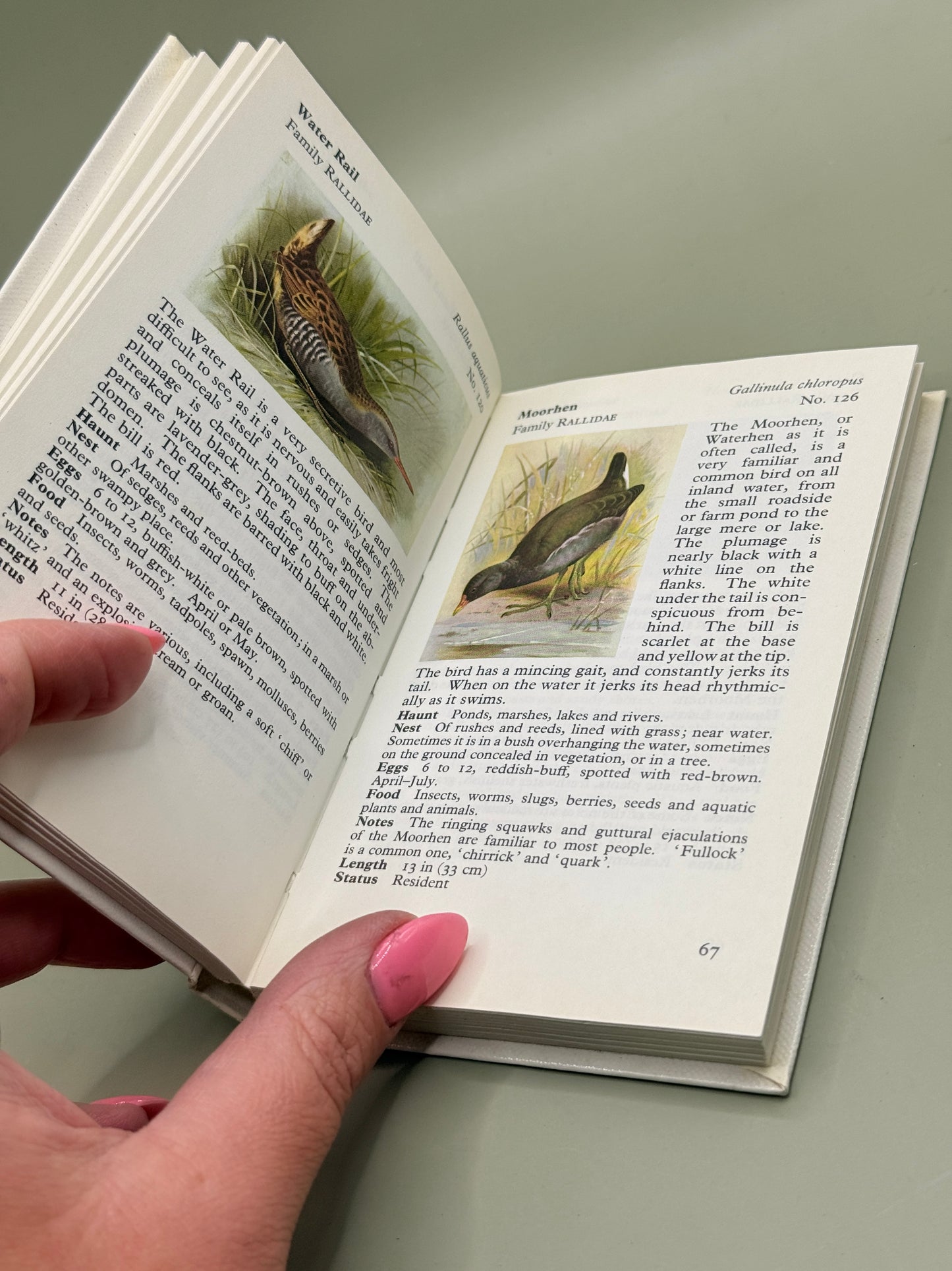 The Observer's Book of Birds by S. Vere Benson