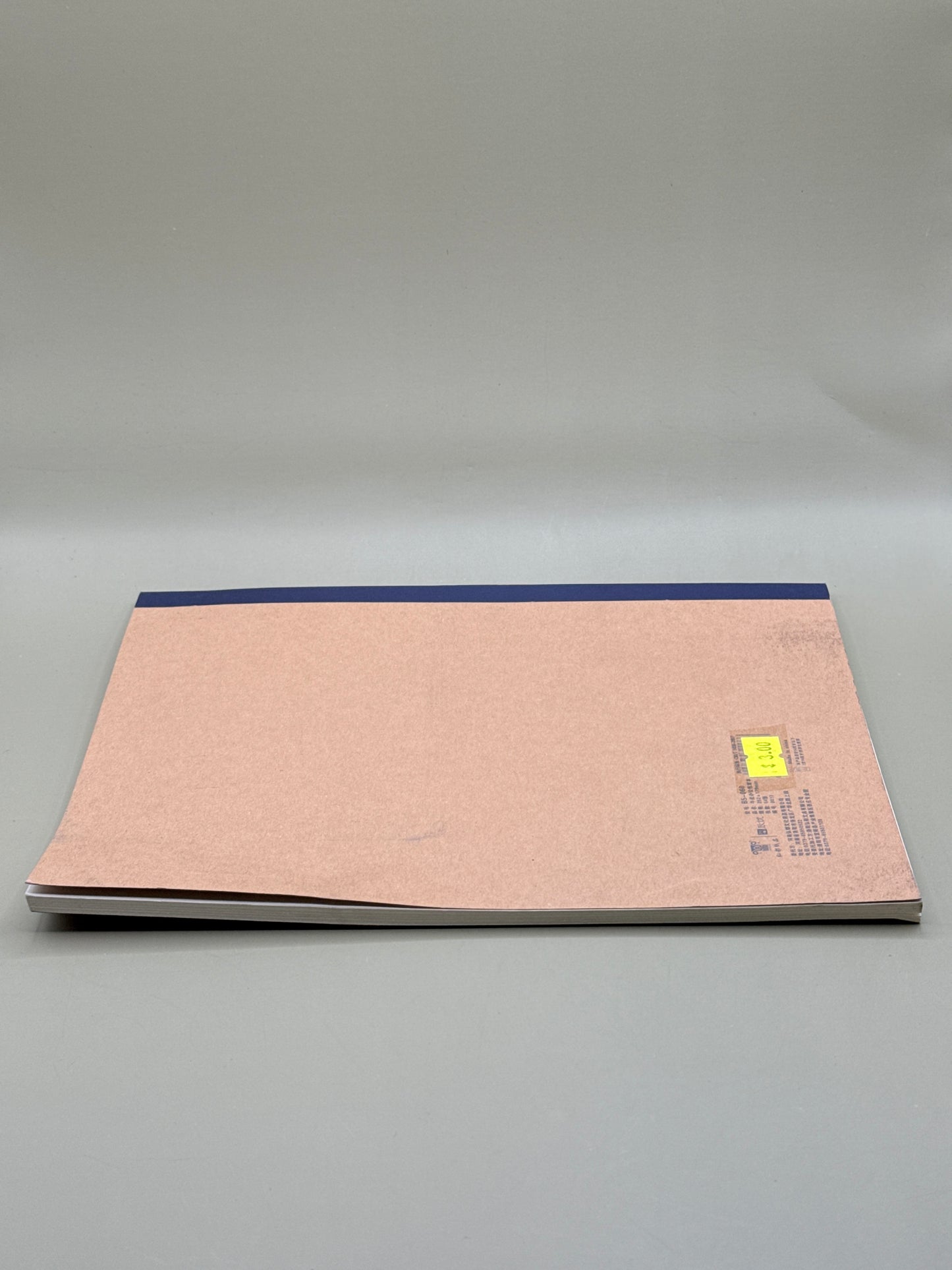 Zhiyou B5 60-Sheet Lined Notebook
