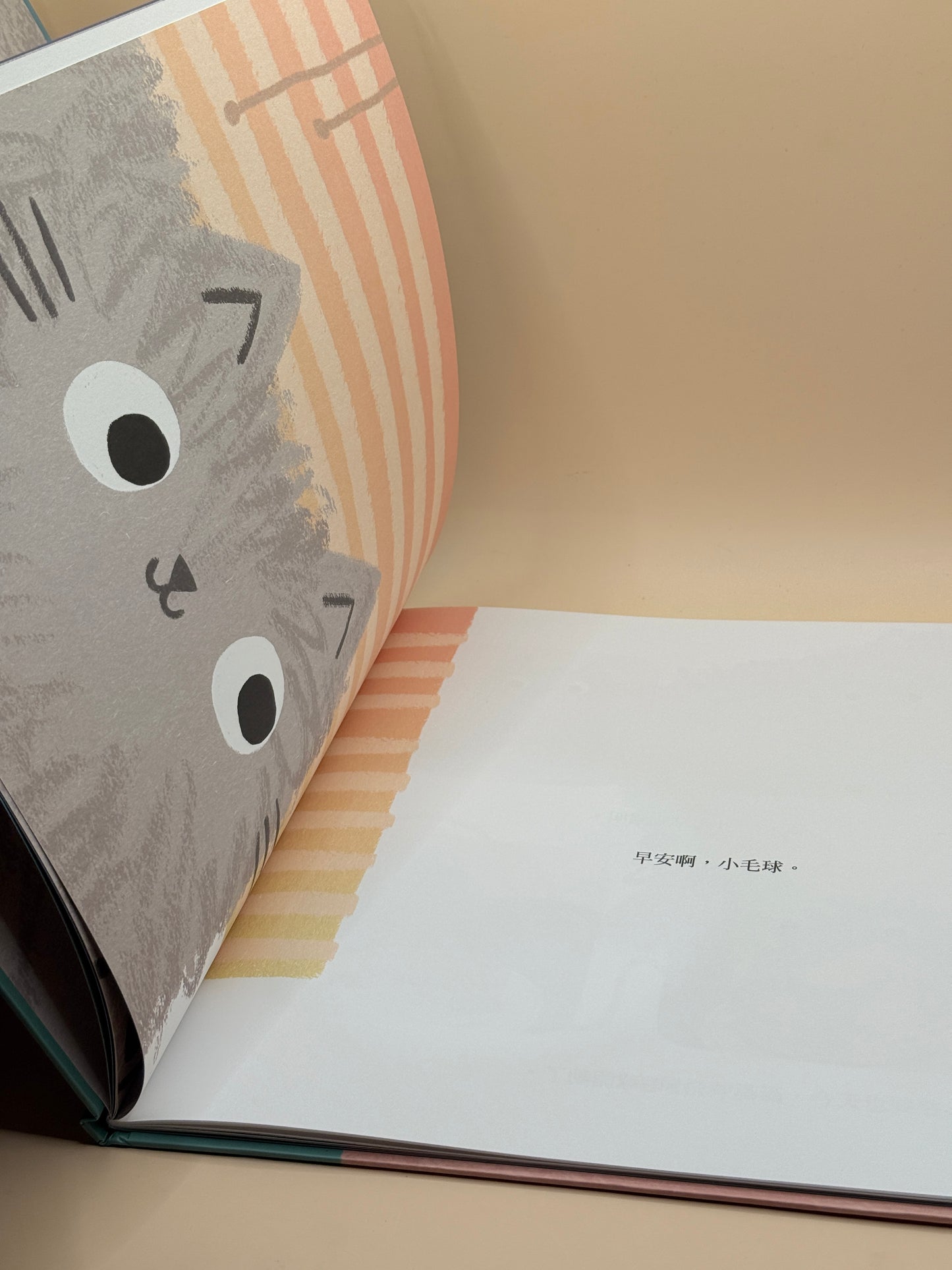 Little Fur Ball by Heath McKinnon - Traditional Chinese edition