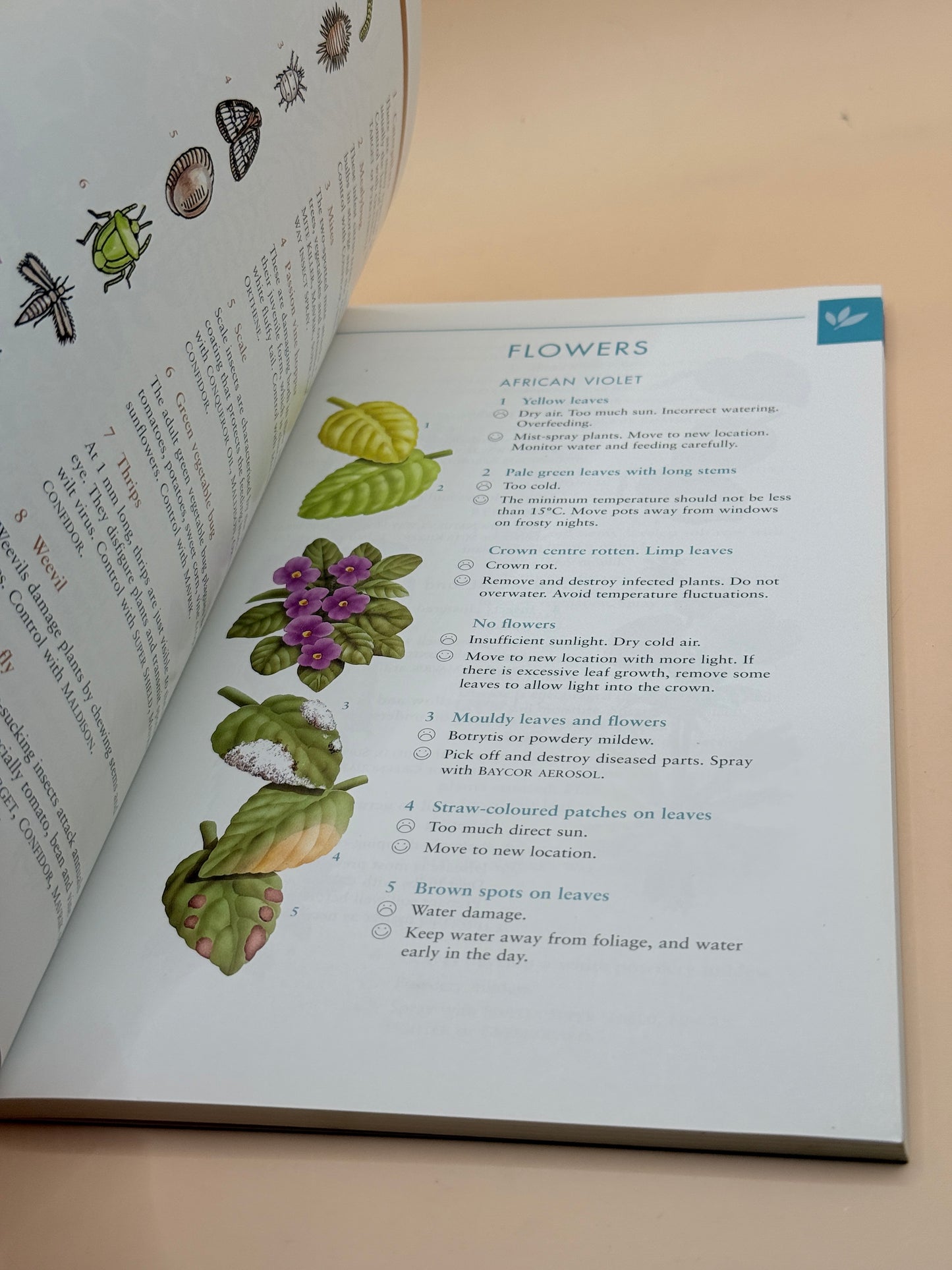Yates Garden Problem Solver