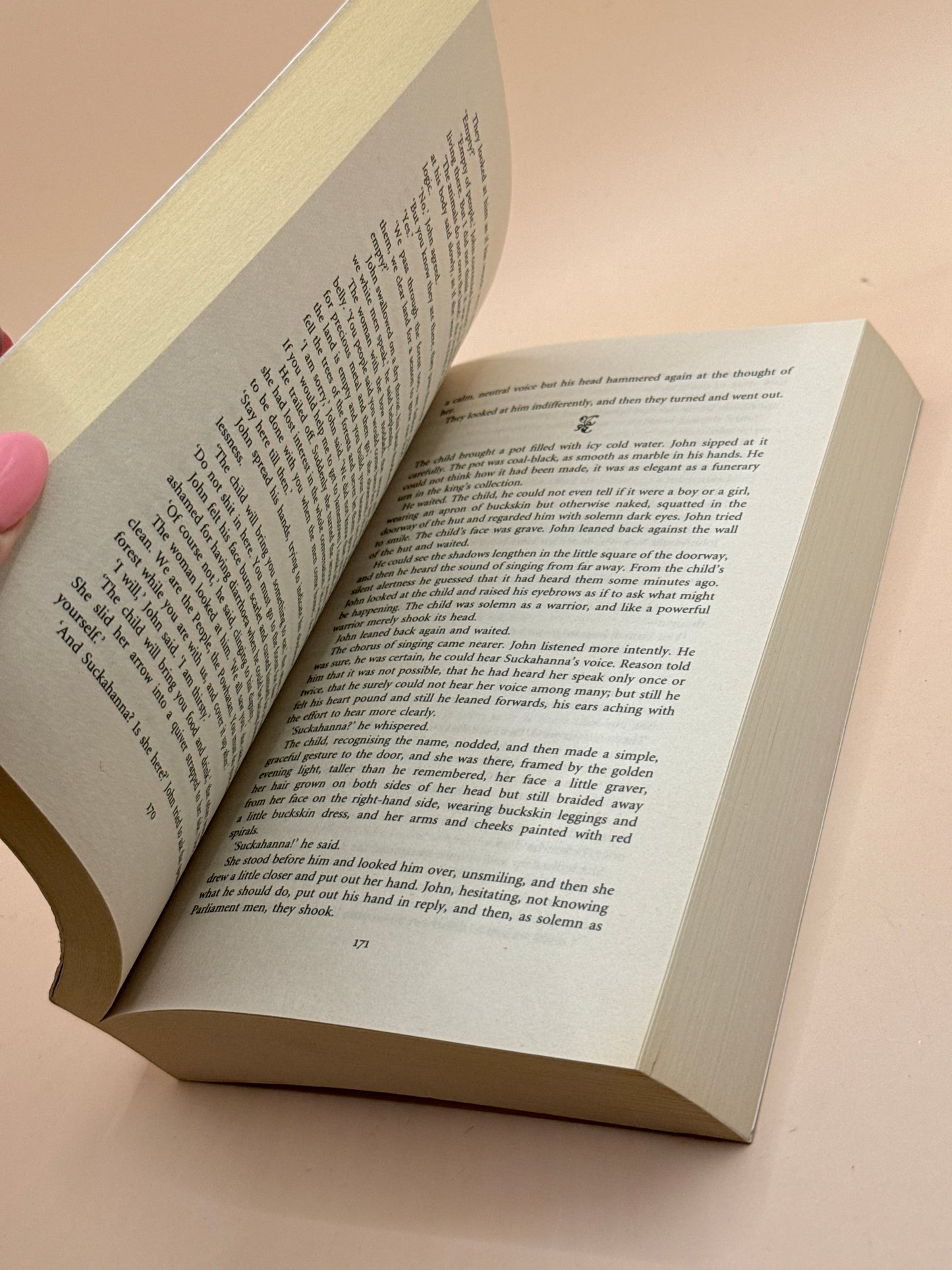 Virgin Earth by Philippa Gregory