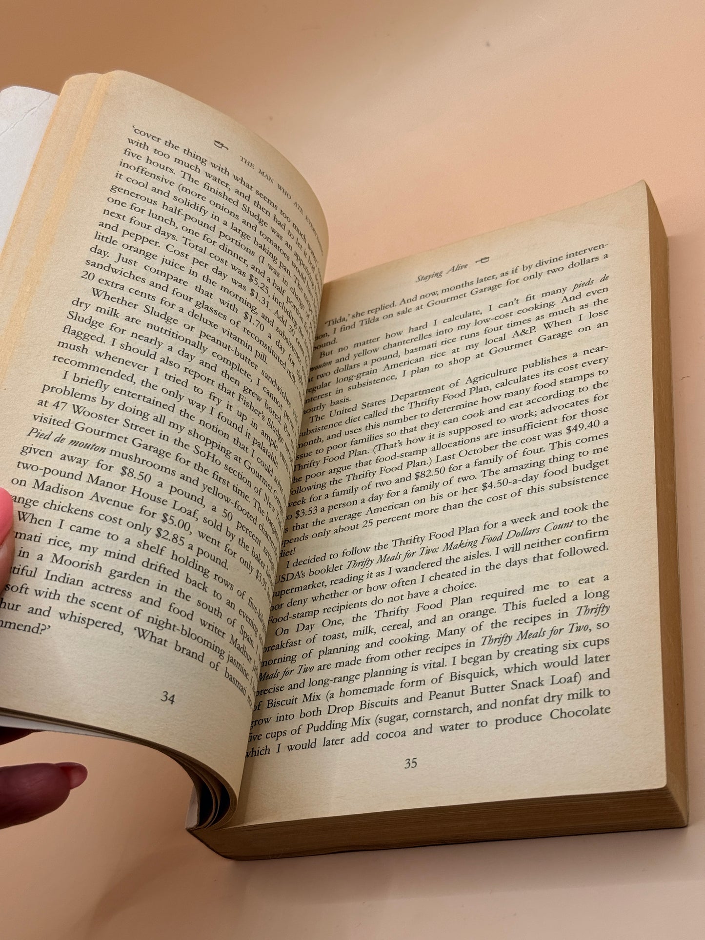 The Man Who Ate Everything by Jeffrey Steingarten