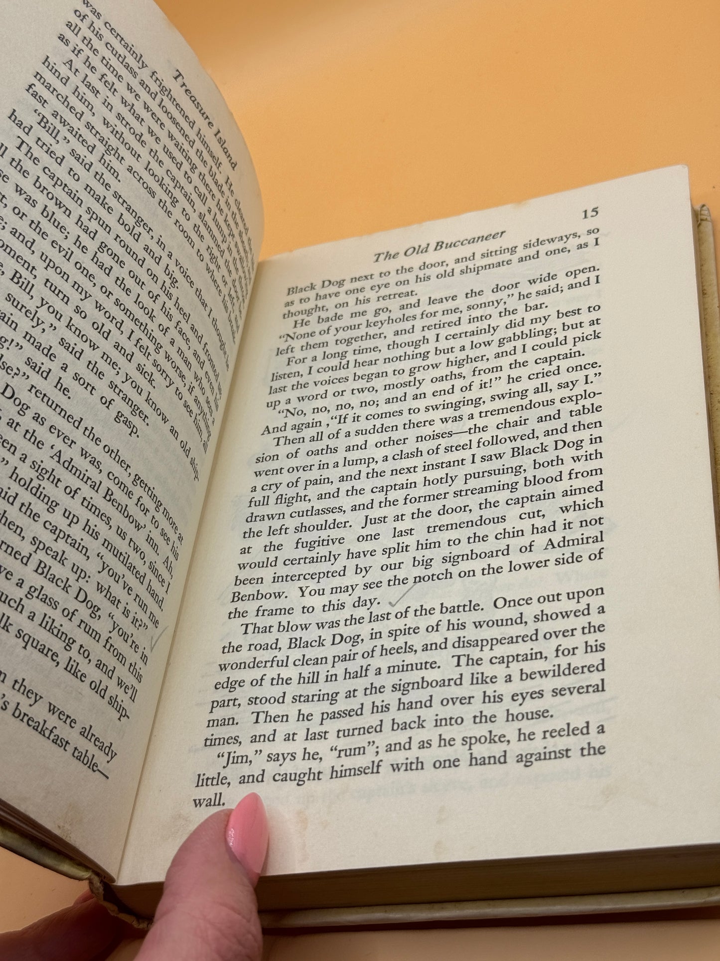 The Companion Library: Treasure Island by Robert Louis Stevenson
