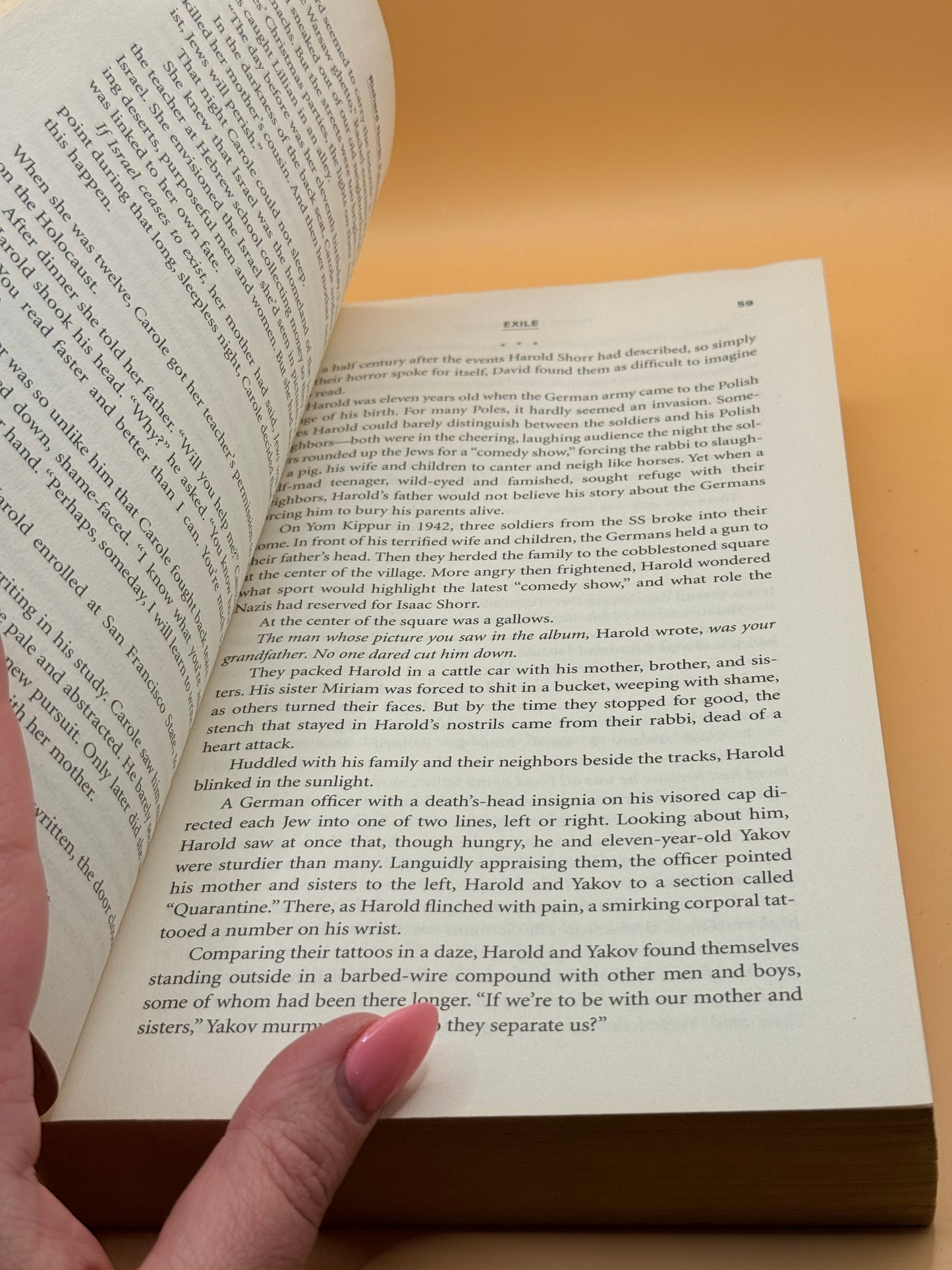 Exile by Richard North Patterson