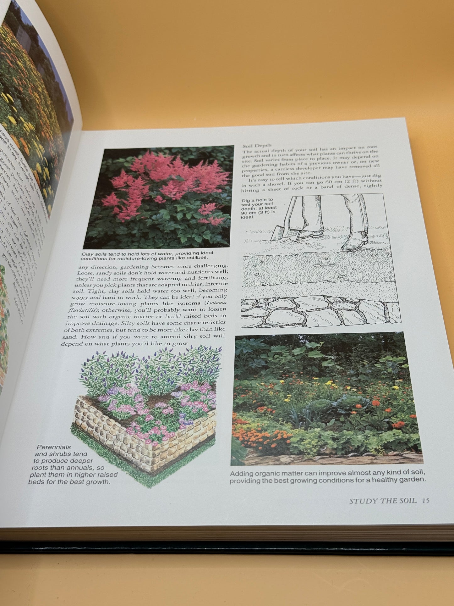 Moa Beckett's Successful Organic Gardening: Low-Maintenance Gardening