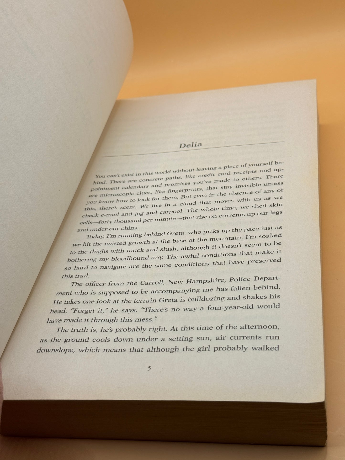 Vanishing Acts by Jodi Picoult