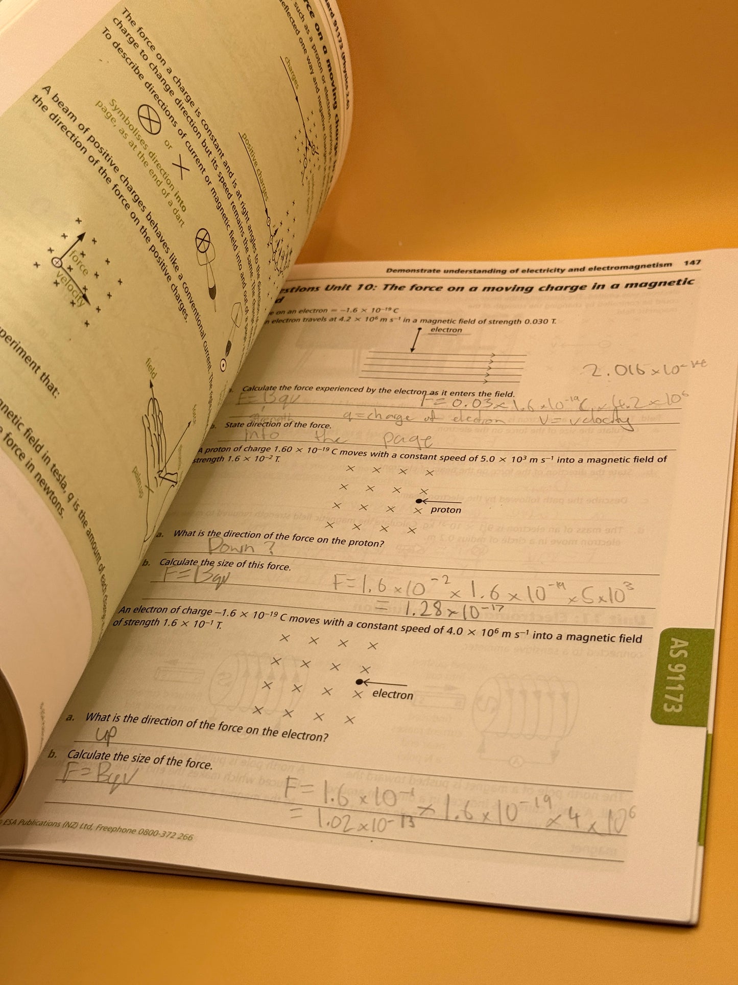 ESA Physics Level 2 Learning Workbook by David Housden
