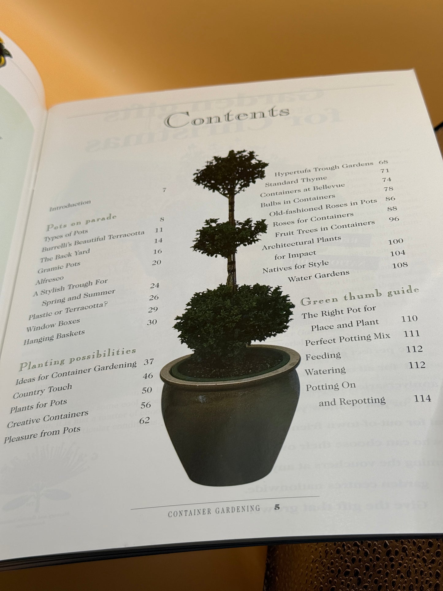 New Zealand Gardener Special Edition: Container Gardening