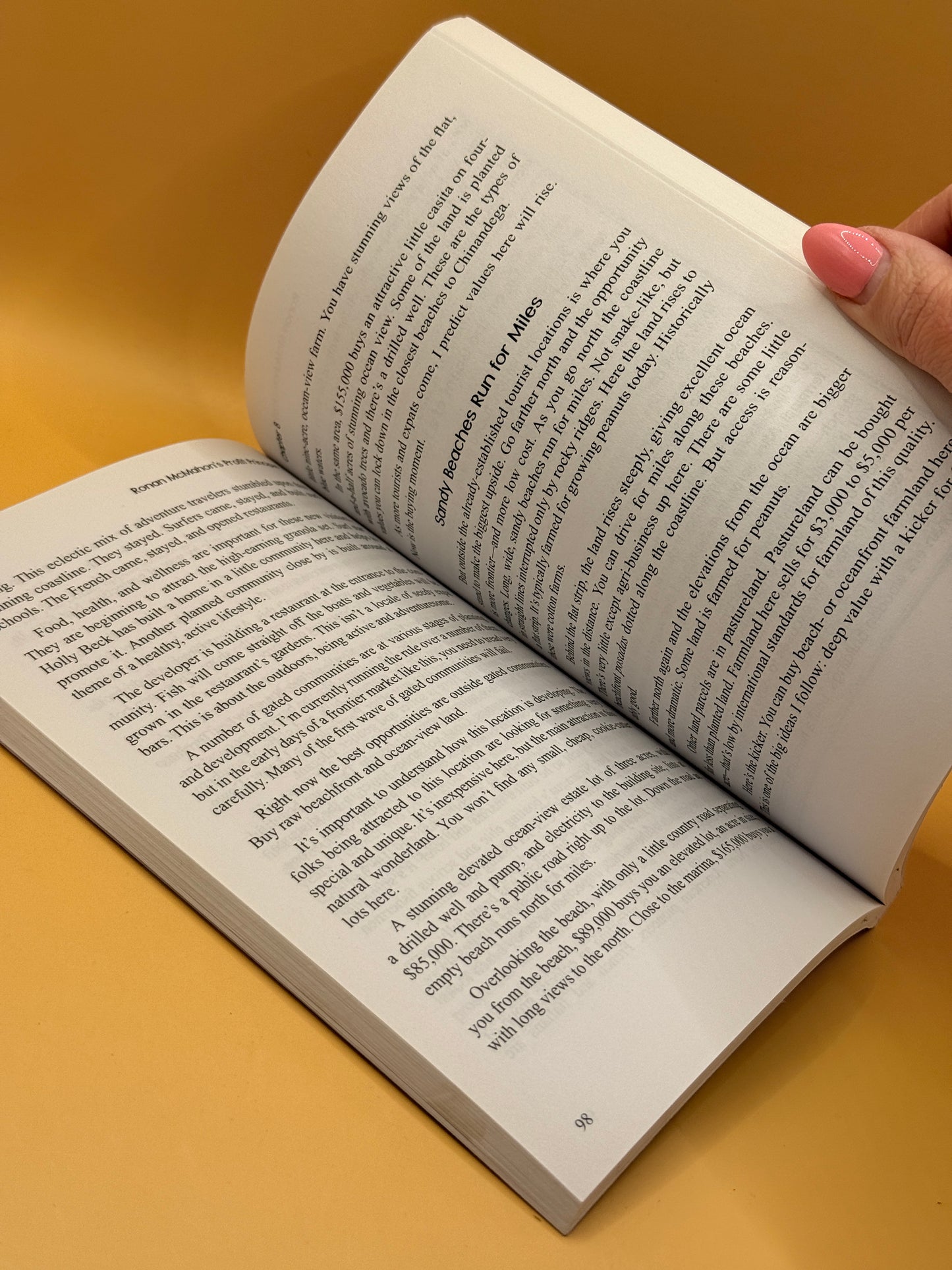 The Profit Principle by Peter Fritz and Jeanne-Vida Douglas